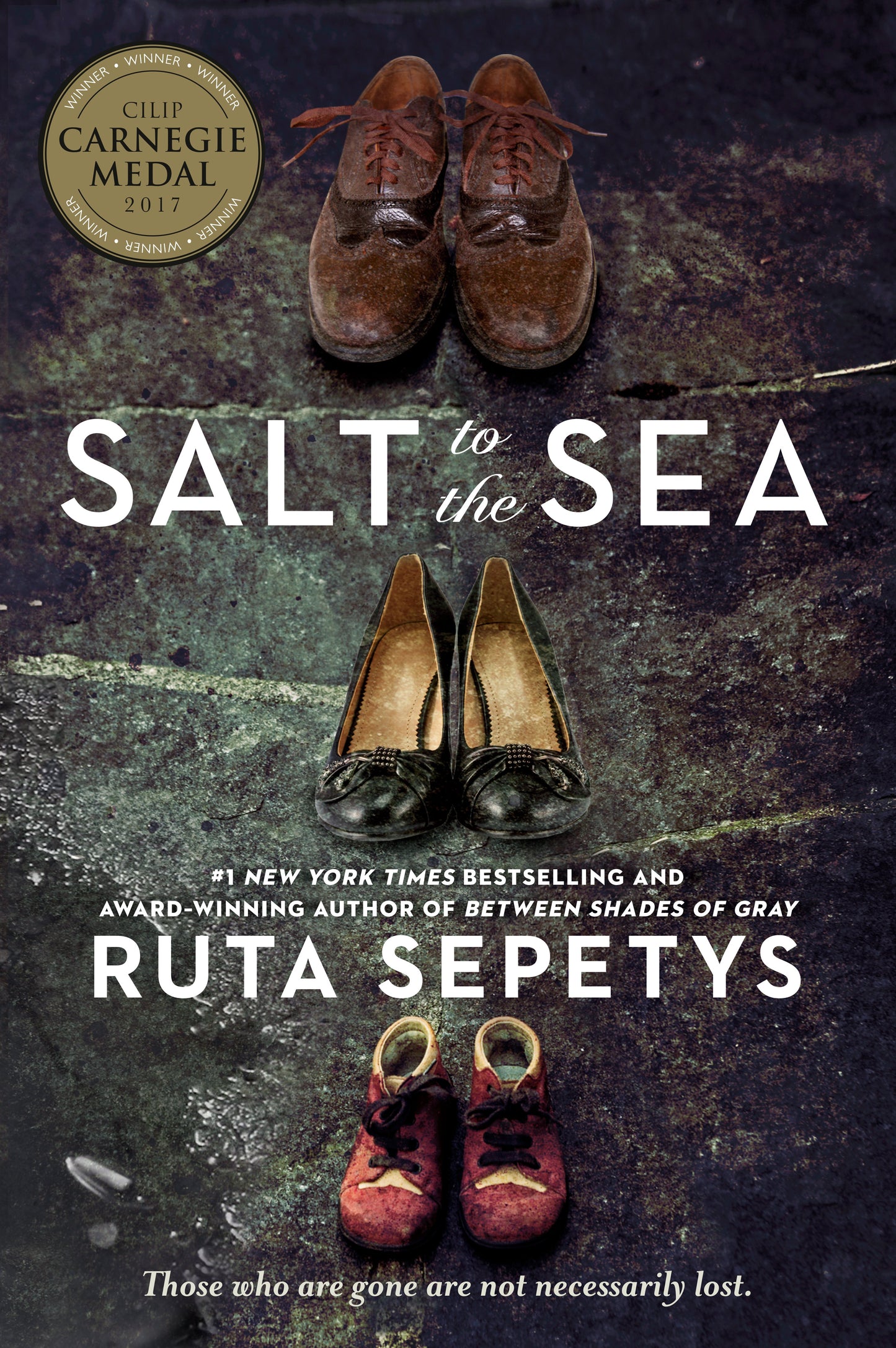 Salt to the Sea by Sepetys, Ruta. ISBN 9780142423622.