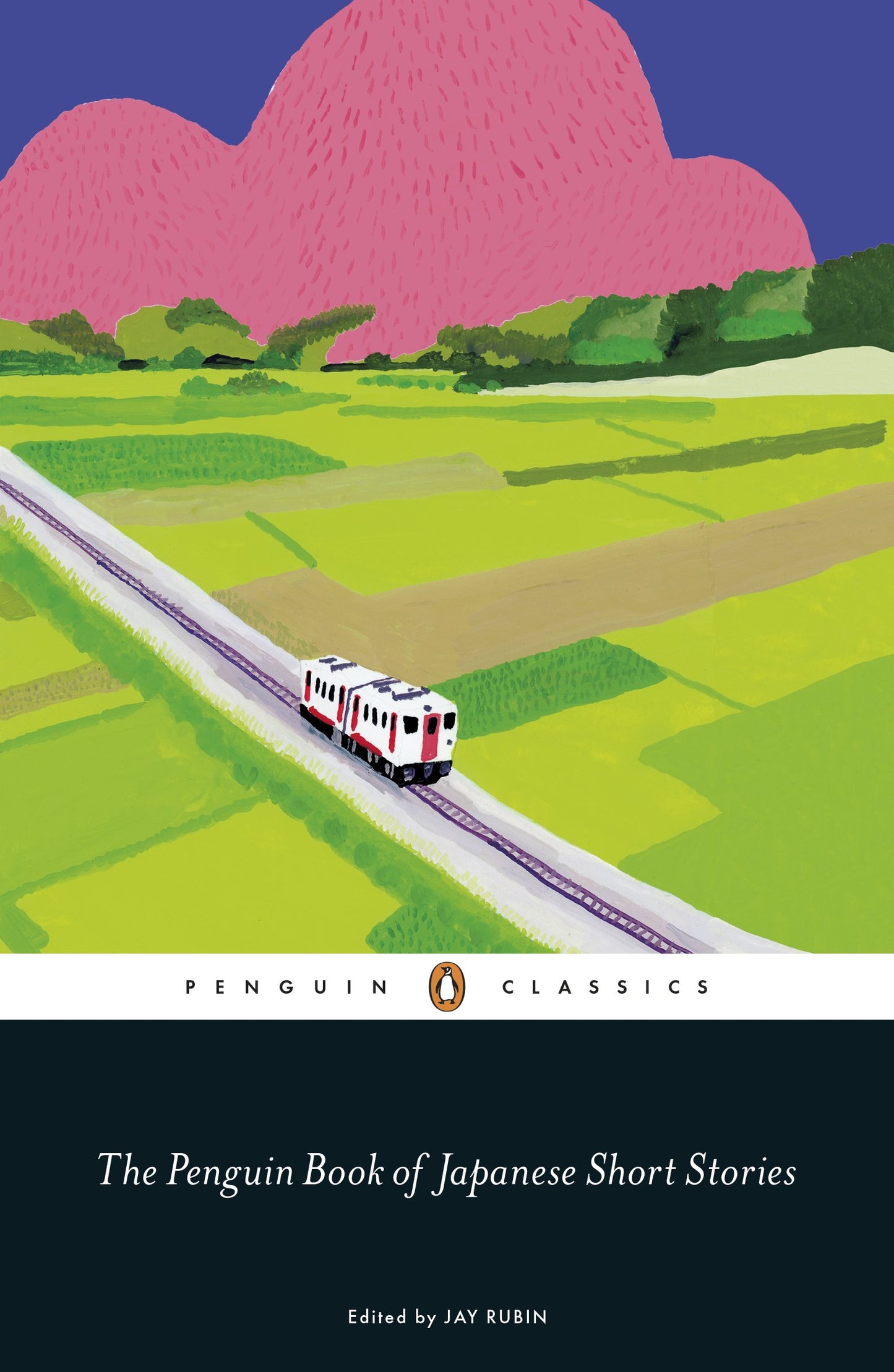 The Penguin Book of Japanese Short Stories by Rubin, Jay. ISBN 9780241311905.