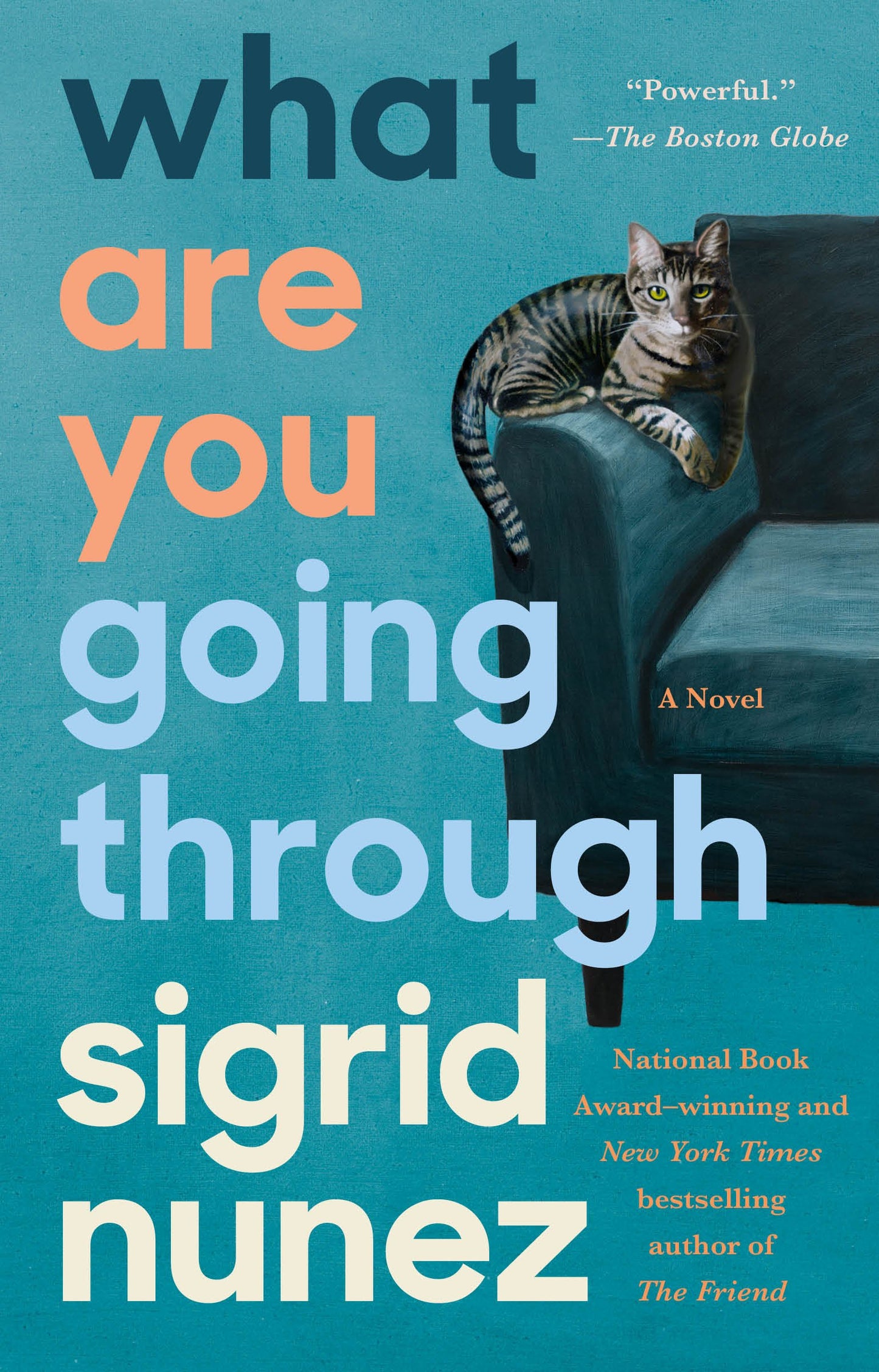 What Are You Going Through by Nunez, Sigrid. ISBN 9780593191422.