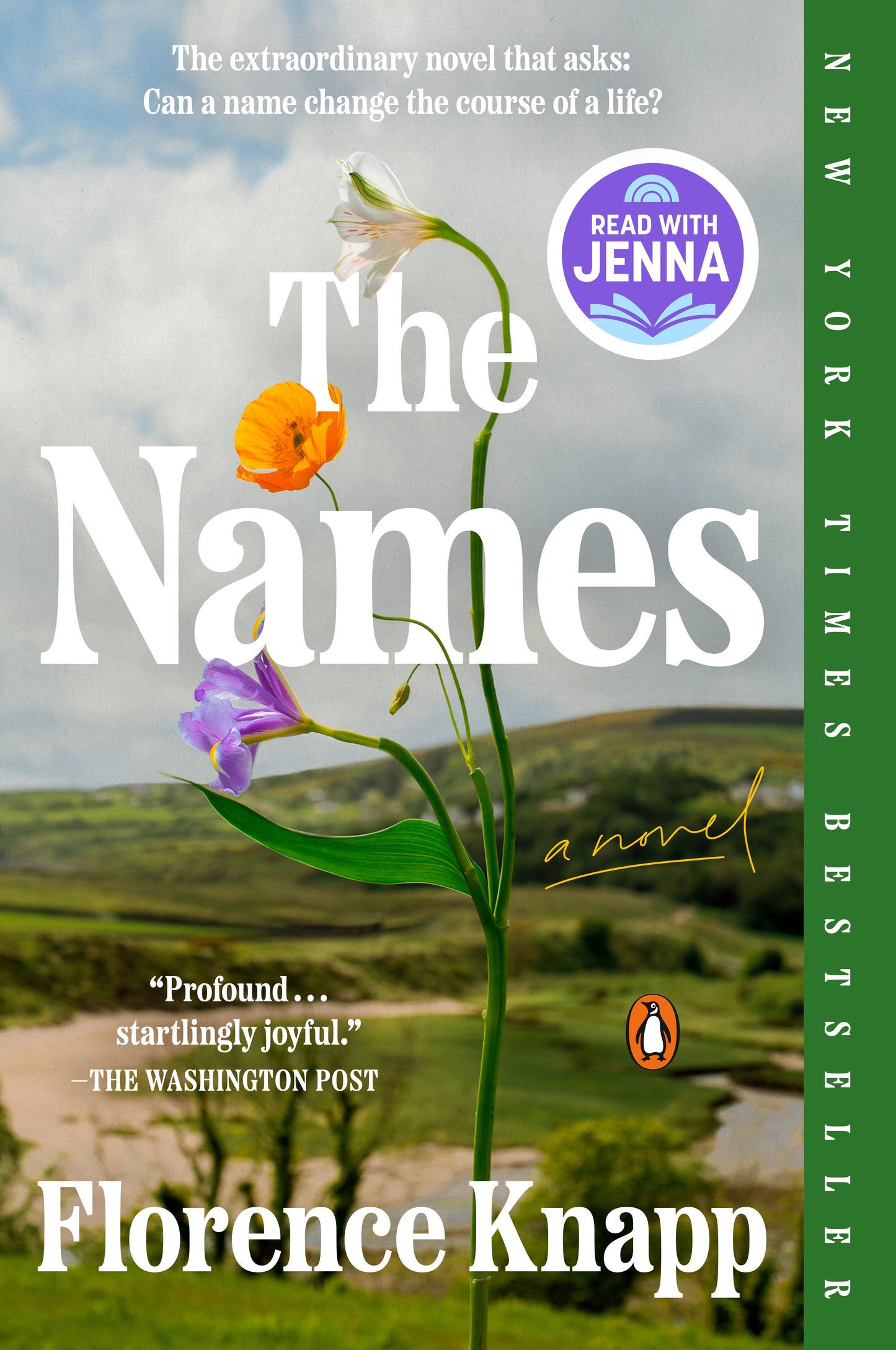 The Names: A Read with Jenna Pick by Knapp, Florence. ISBN 9780593833926.