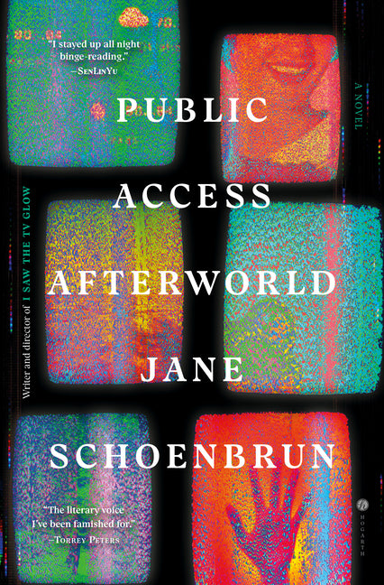 Public Access Afterworld by Schoenbrun, Jane