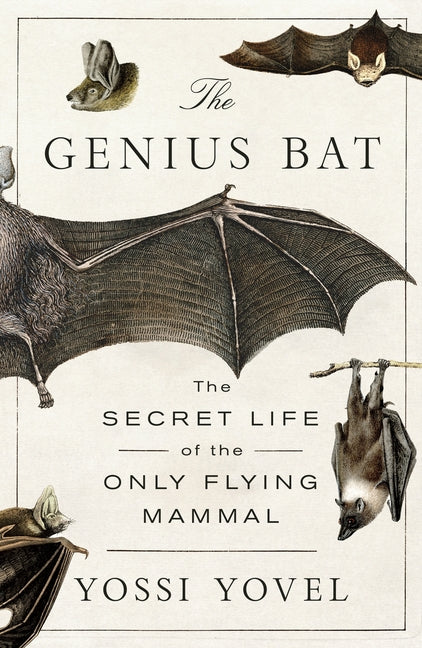 The Genius Bat: The Secret Life of the Only Flying Mammal by Yovel, Yossi