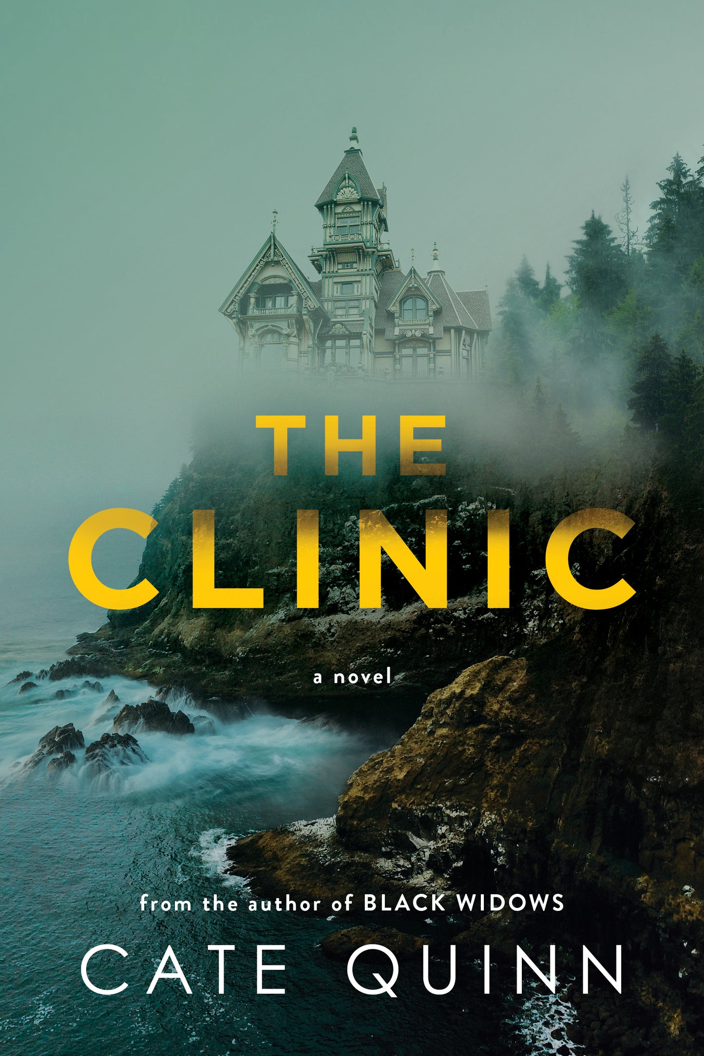 The Clinic by Quinn, Cate. ISBN 9781464216213.