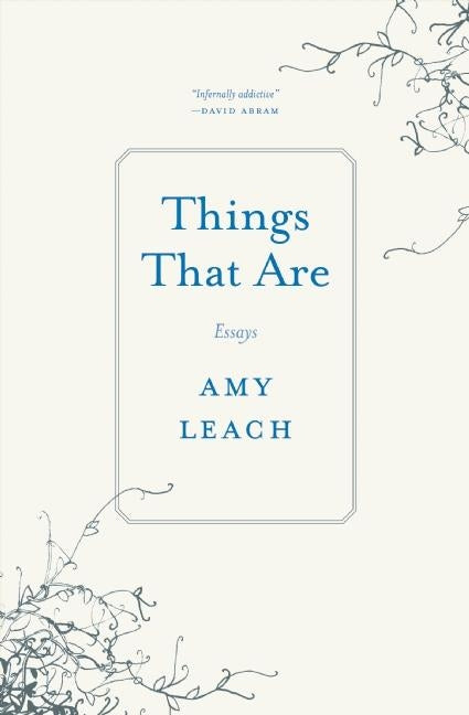 Things That Are: Essays by Leach, Amy