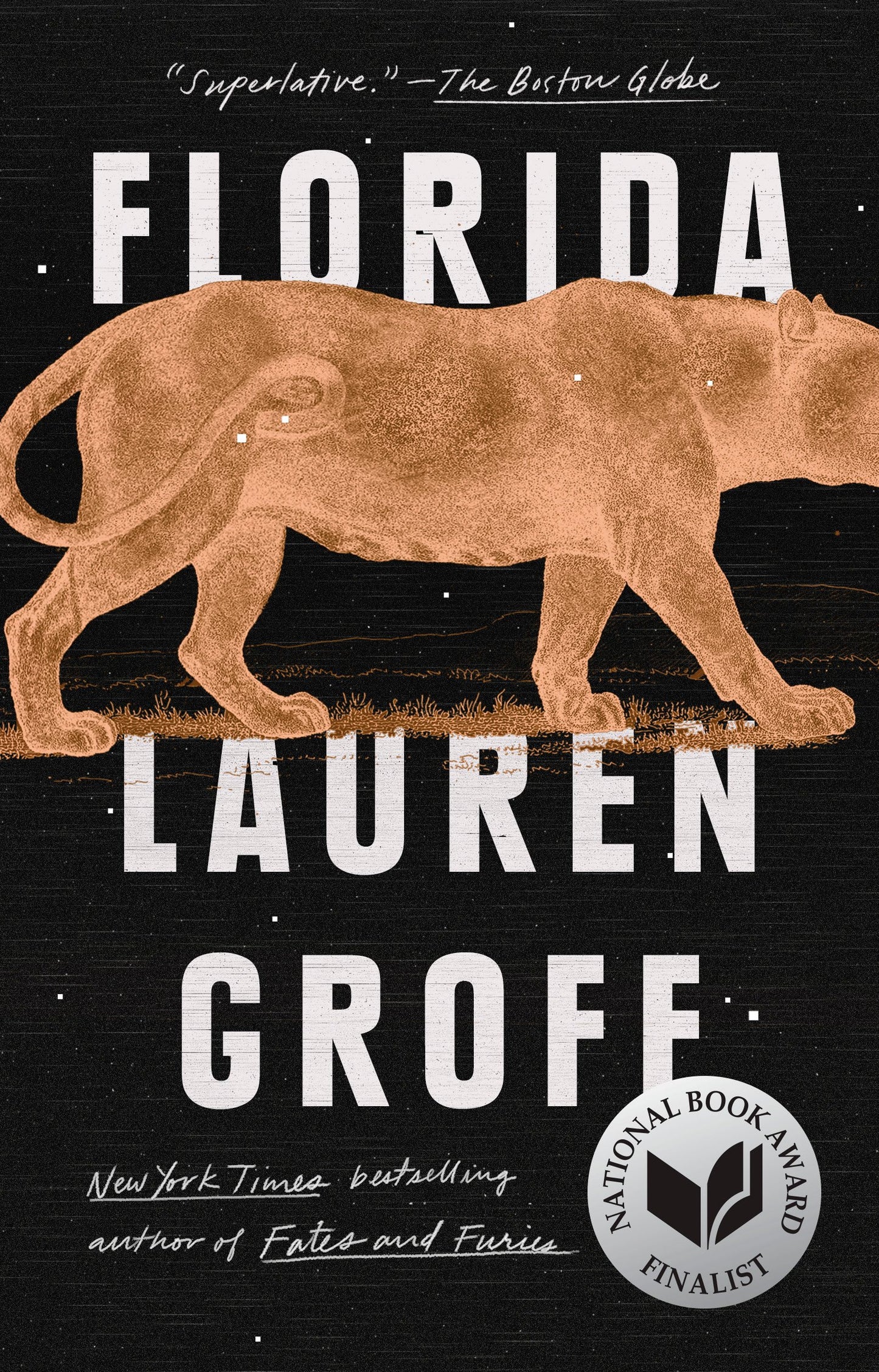 Florida by Groff, Lauren. ISBN 9781594634529.