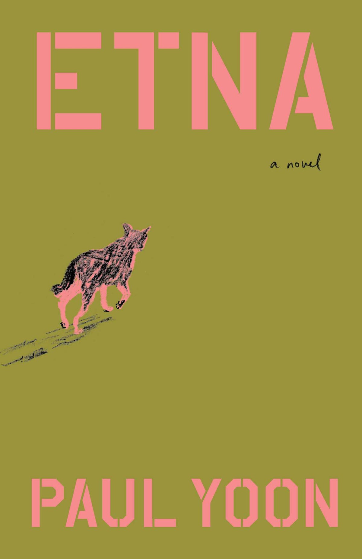 Etna by Yoon, Paul. ISBN 9781668020821.