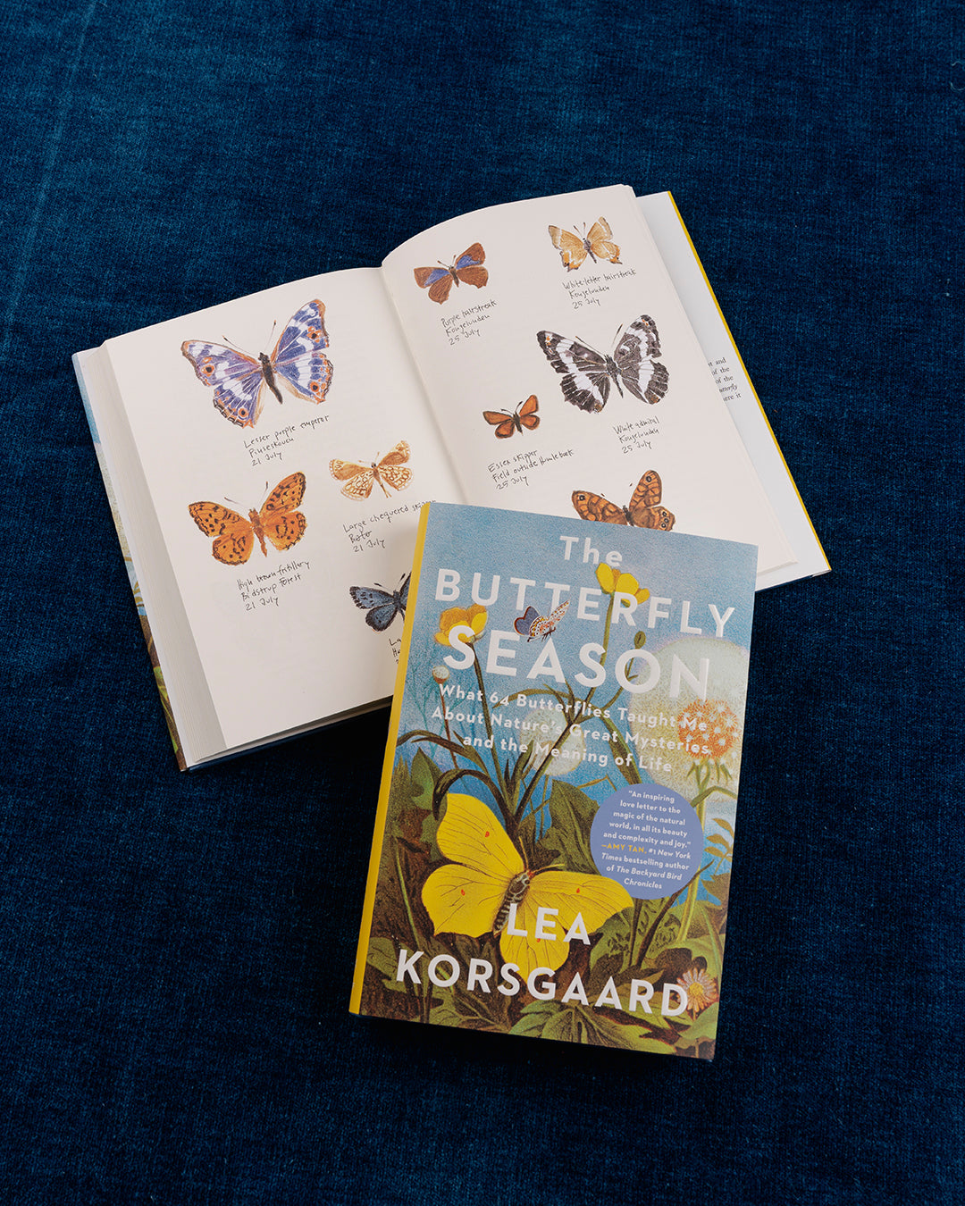 PRH extra: 9798217208869_Korsgaard_Butterfly Season_Spread_Final.jpg
