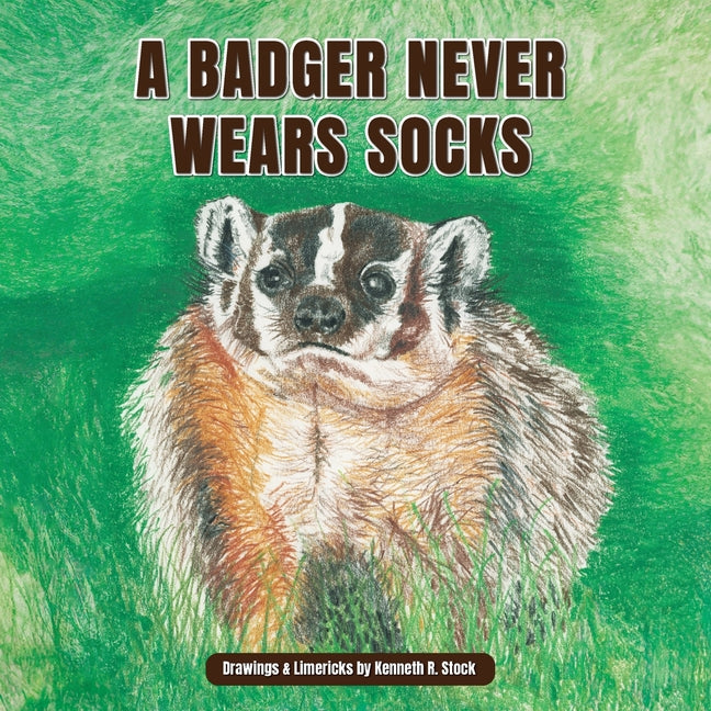 A Badger Never Wears Socks: An A-to-Z Book of Animals and Limericks by Stock, Kenneth R.