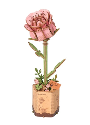 Pink Carnation by Robotime LLC
