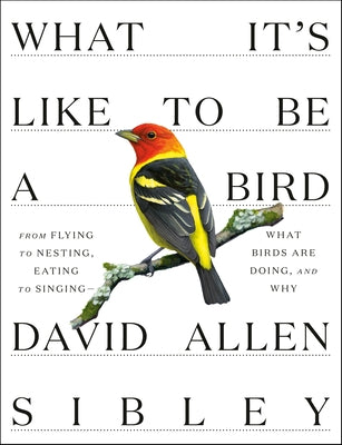 What It's Like to Be a Bird: From Flying to Nesting, Eating to Singing--What Birds Are Doing, and Why by Sibley, David Allen