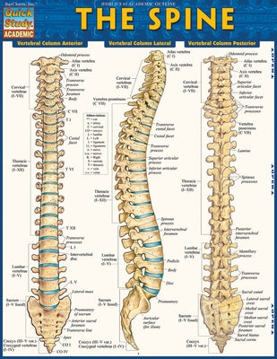 The Spine by Perez, Vincent