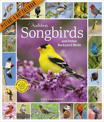 Audubon Songbirds and Other Backyard Birds Picture-A-Day(r) Wall Calendar 2025 by National Audubon Society