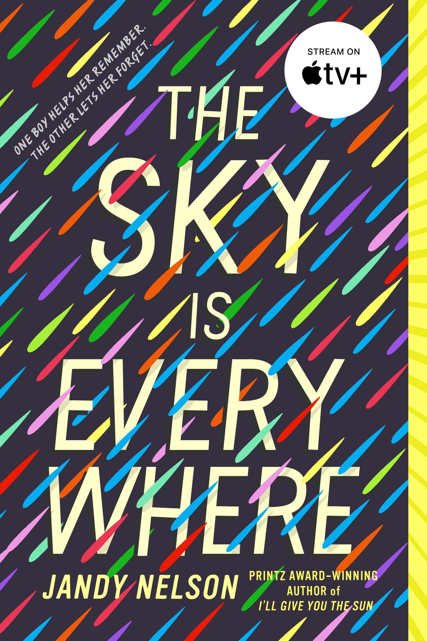 The Sky Is Everywhere by Nelson, Jandy. ISBN 9780142417805.