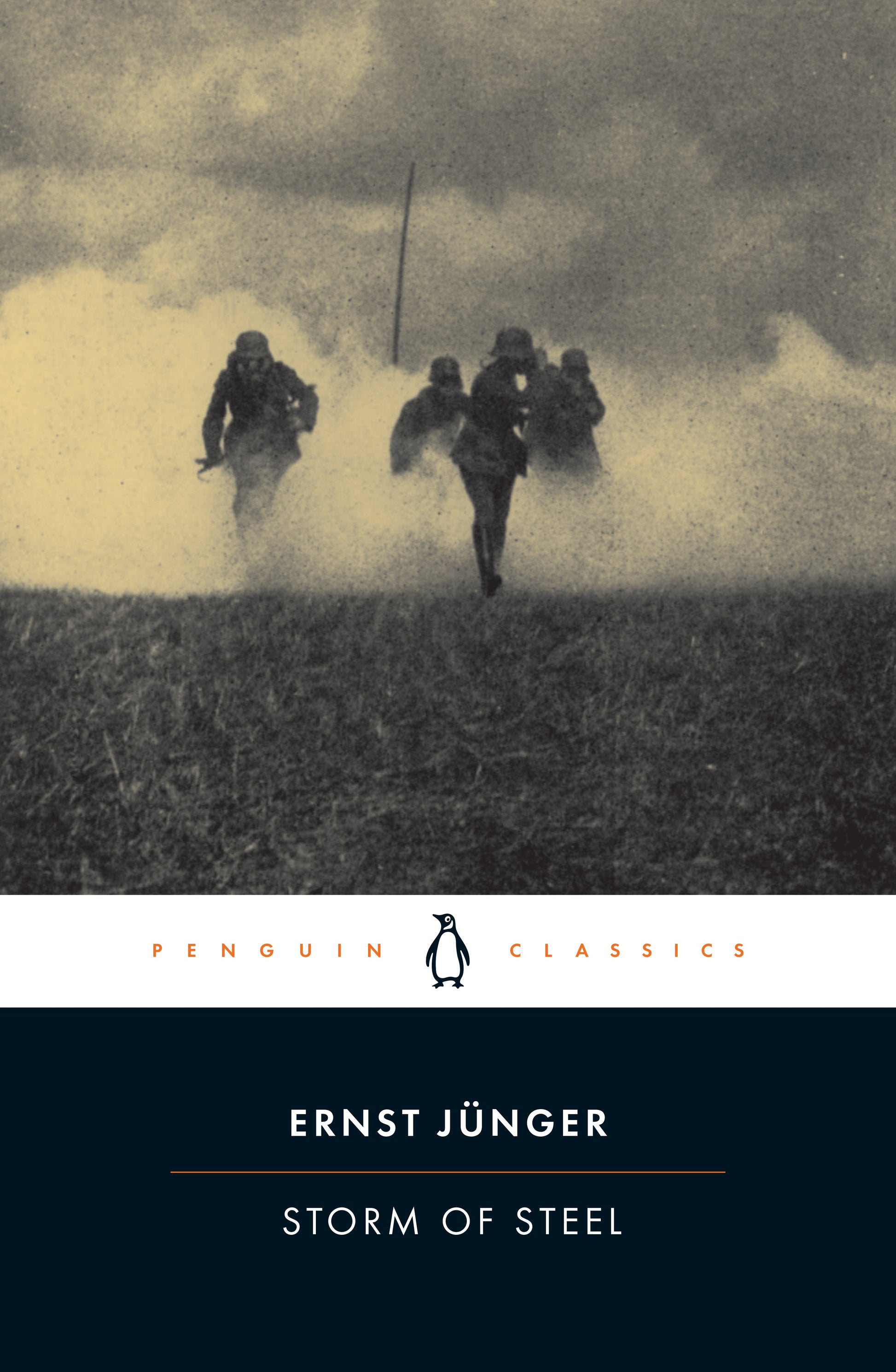 Storm of Steel by Junger, Ernst. ISBN 9780142437902.