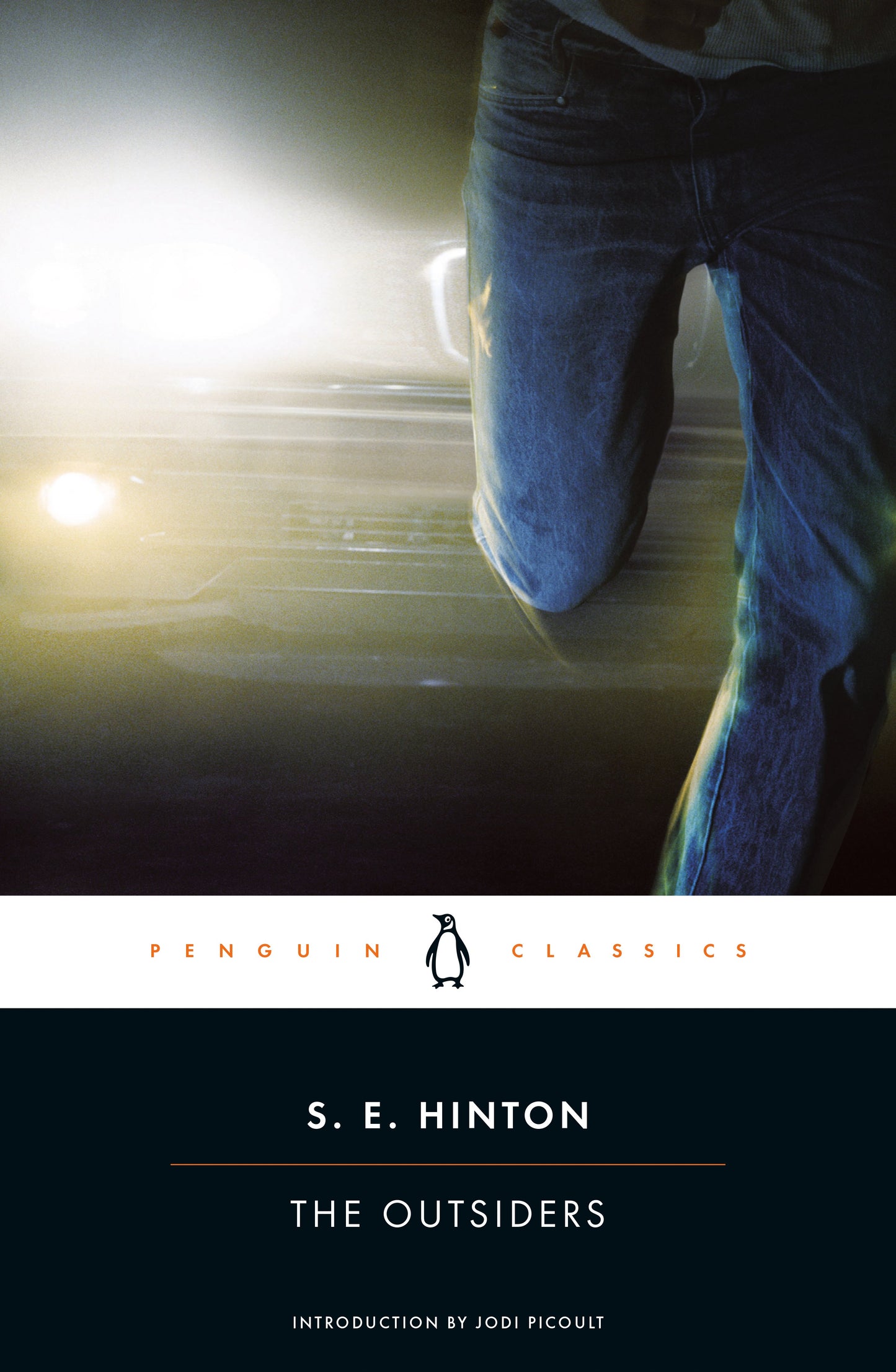 The Outsiders by Hinton, S. E.. ISBN 9780143039853.