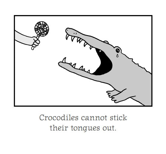 PRH extra: 9780399159251_Totally Awesome Book of Useless Information 9780399159251 Interior Image 1.jpg
