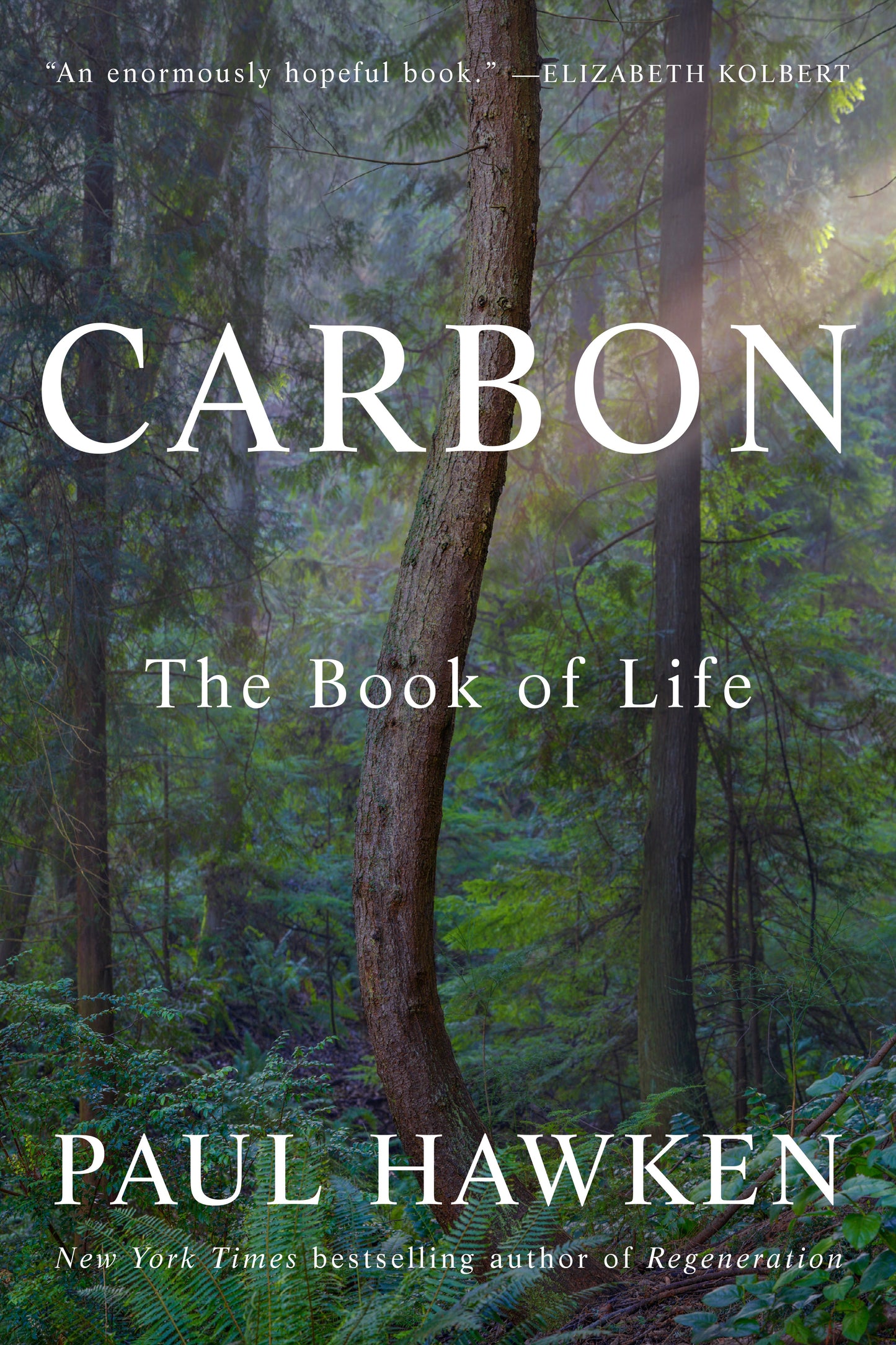 Carbon: The Book of Life by Hawken, Paul. ISBN 9780525427445.