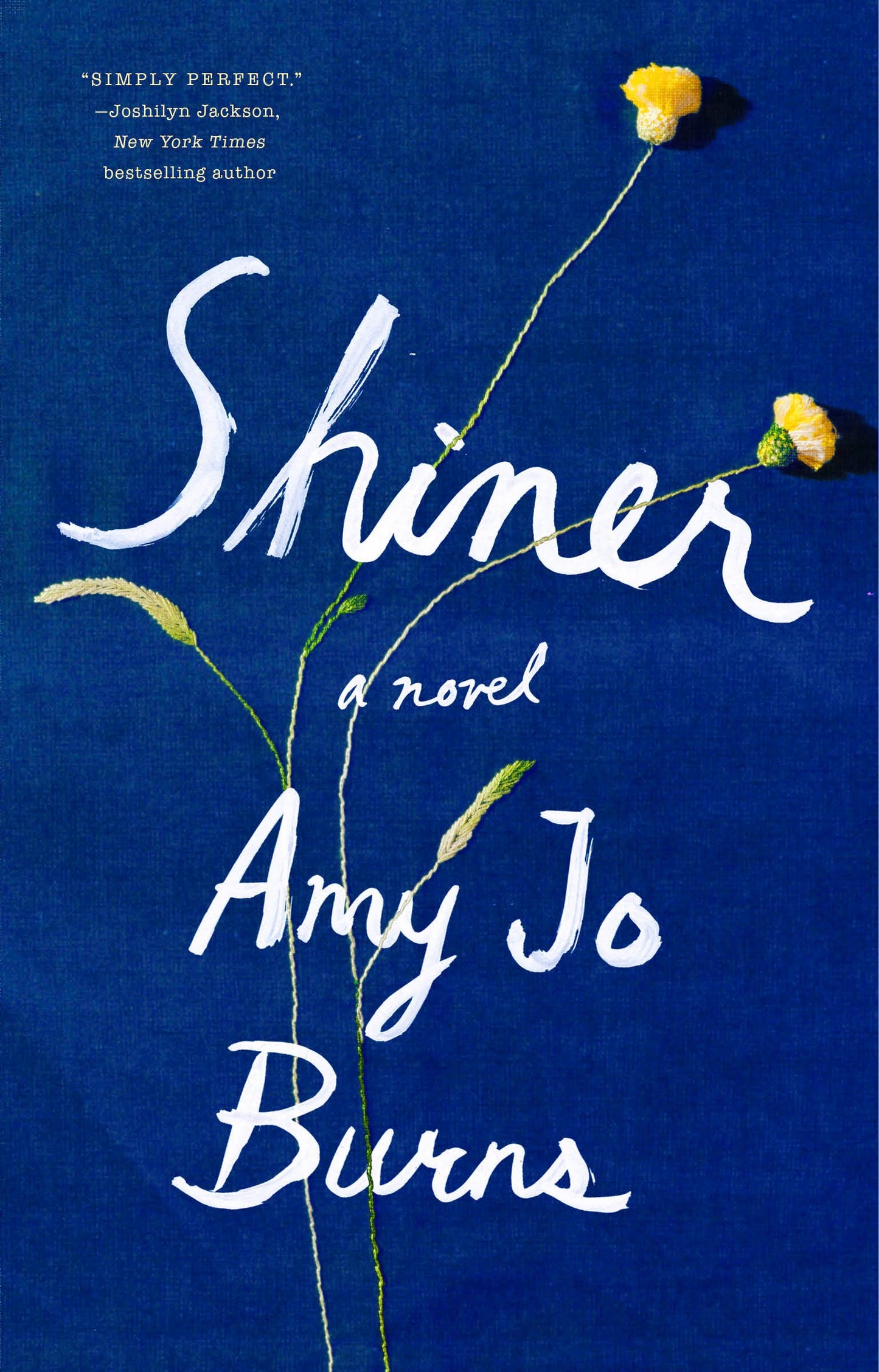 Shiner by Burns, Amy Jo. ISBN 9780525533658.