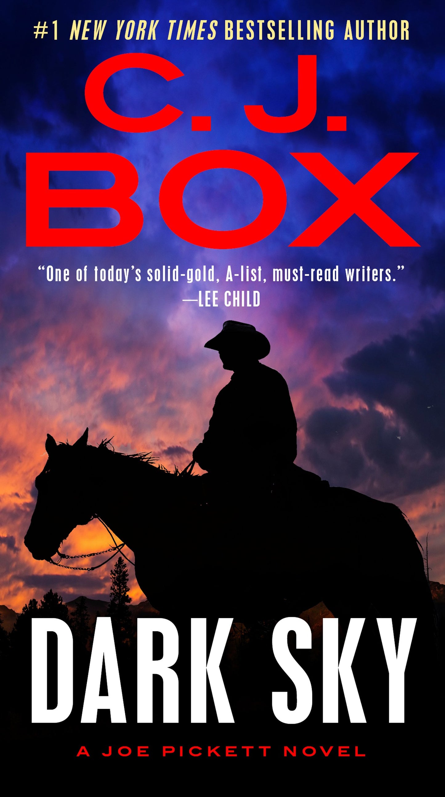 Dark Sky by Box, C. J.. ISBN 9780525538295.