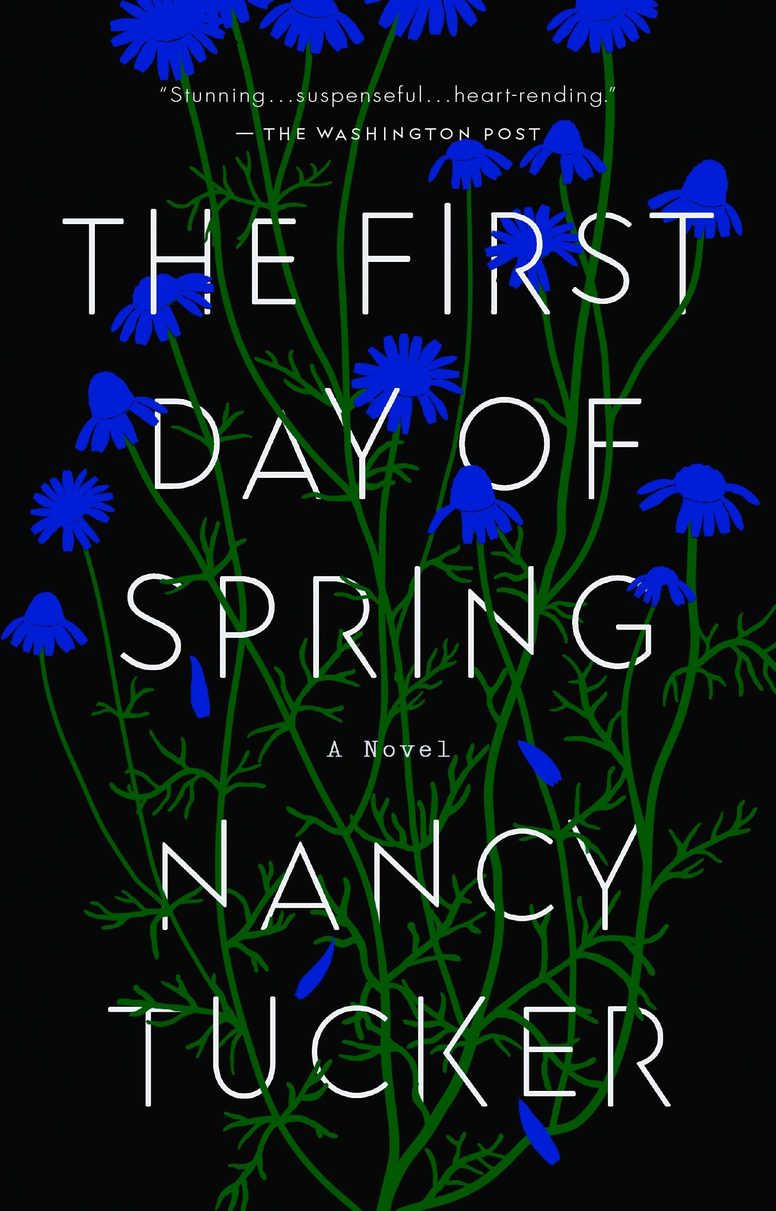 The First Day of Spring by Tucker, Nancy. ISBN 9780593191576.