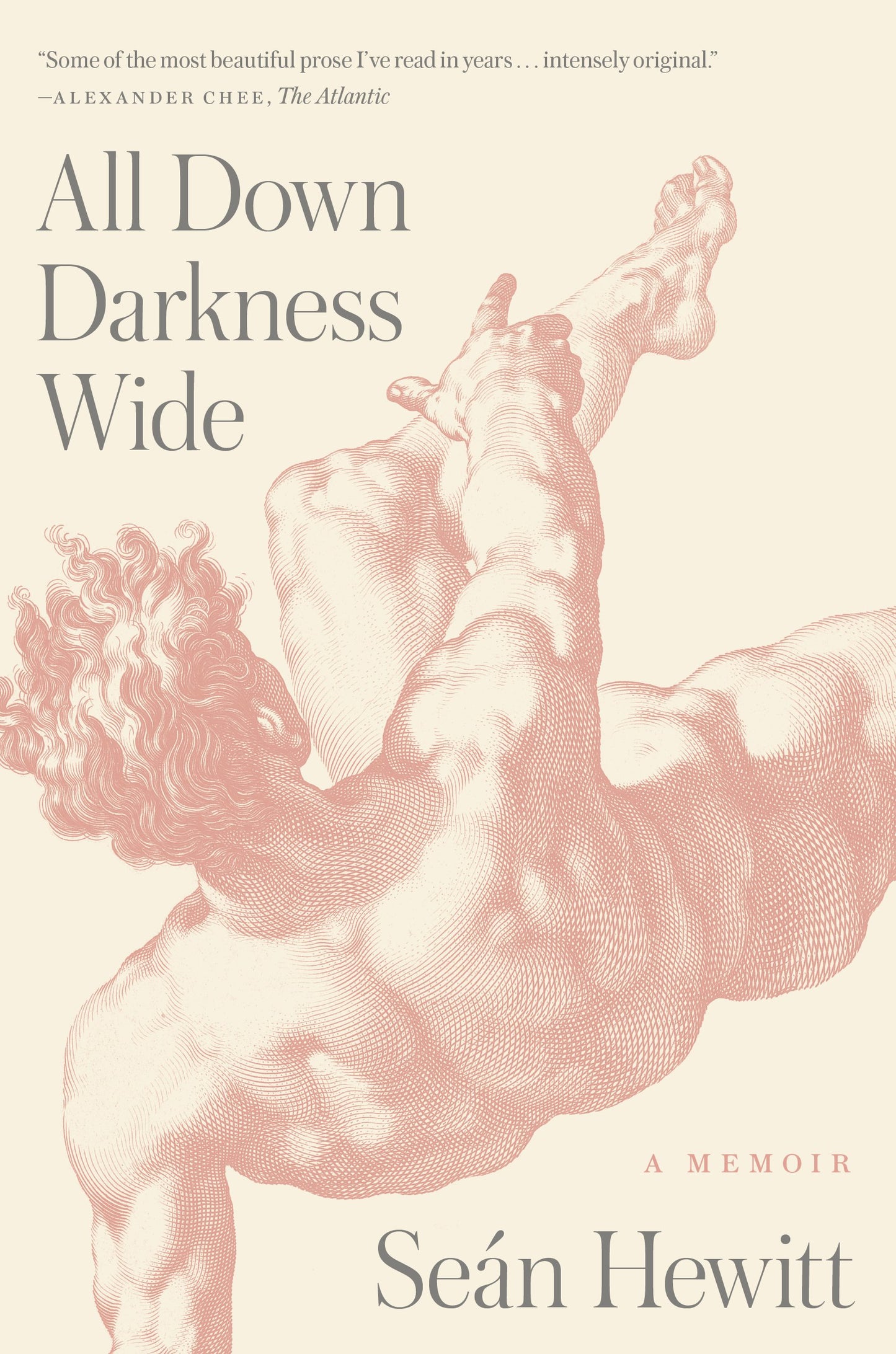 All Down Darkness Wide: A Memoir by Hewitt, Seán. ISBN 9780593300084.