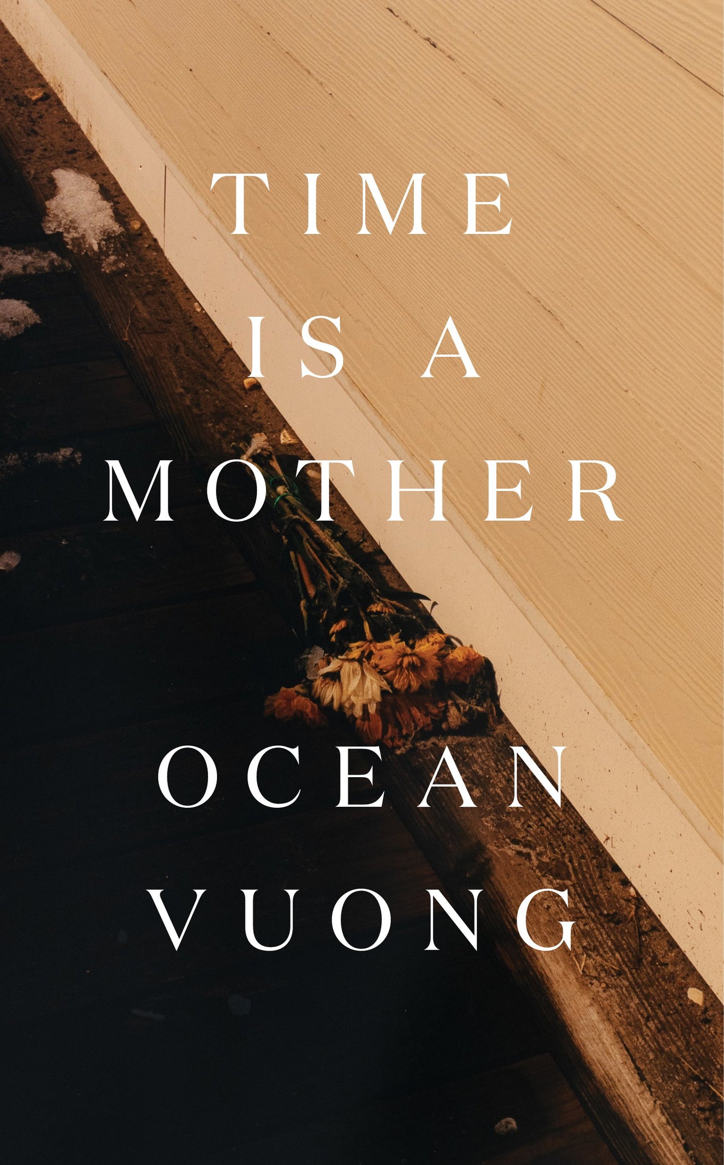 Time Is a Mother by Vuong, Ocean. ISBN 9780593300237.