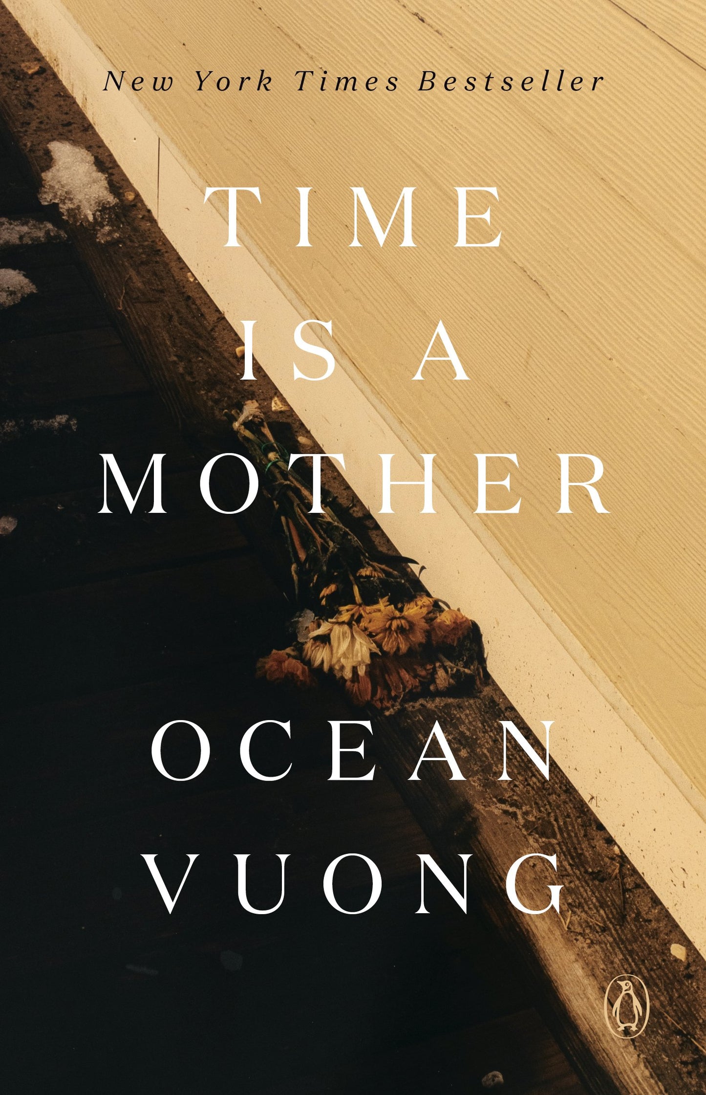 Time Is a Mother by Vuong, Ocean. ISBN 9780593300251.