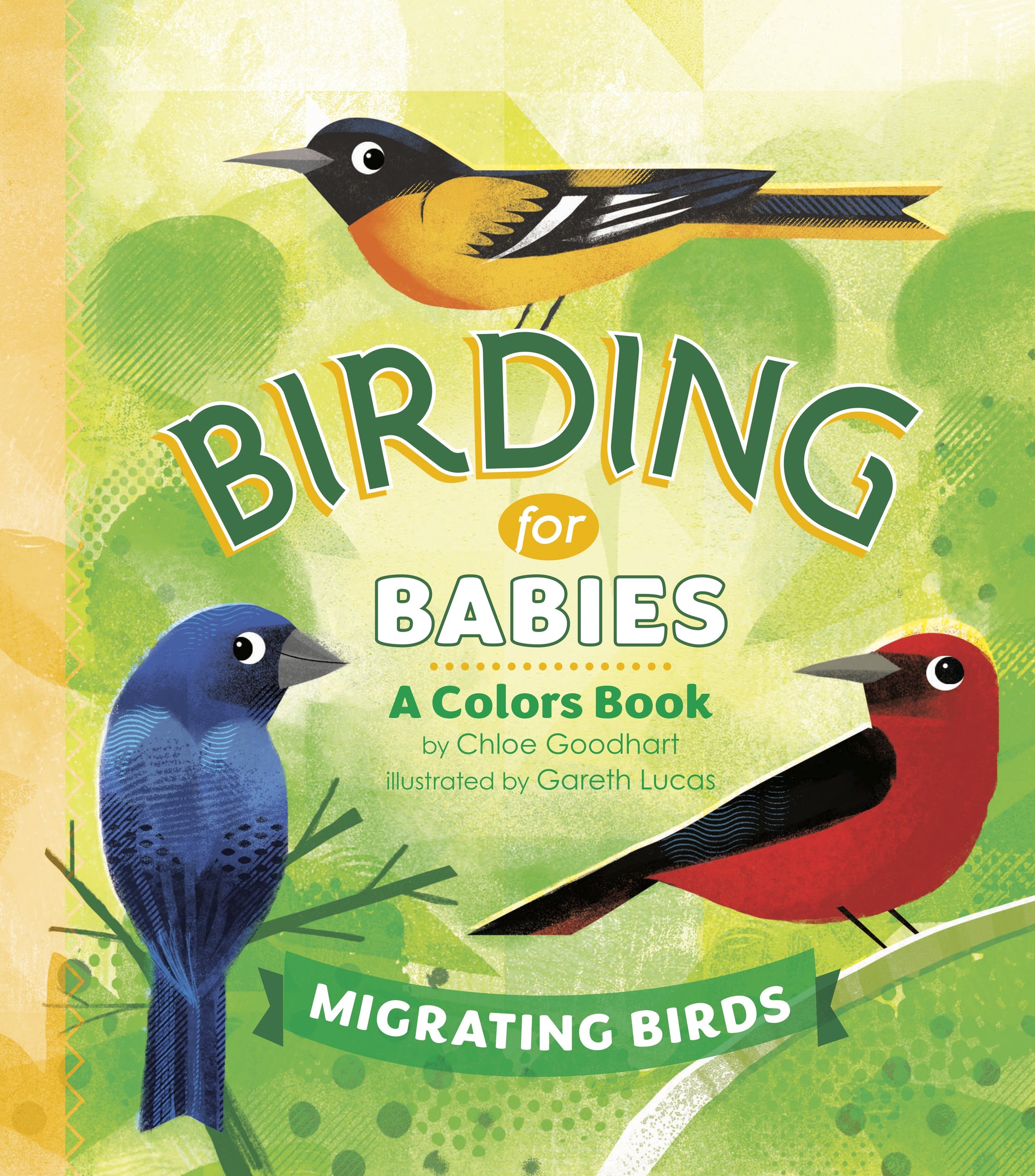 Birding for Babies: Migrating Birds: A Colors Book by Goodhart, Chloe. ISBN 9780593386965.