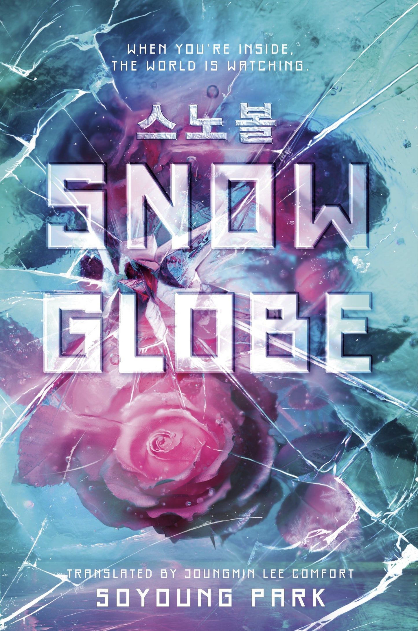 Snowglobe by Park, Soyoung. ISBN 9780593484982.
