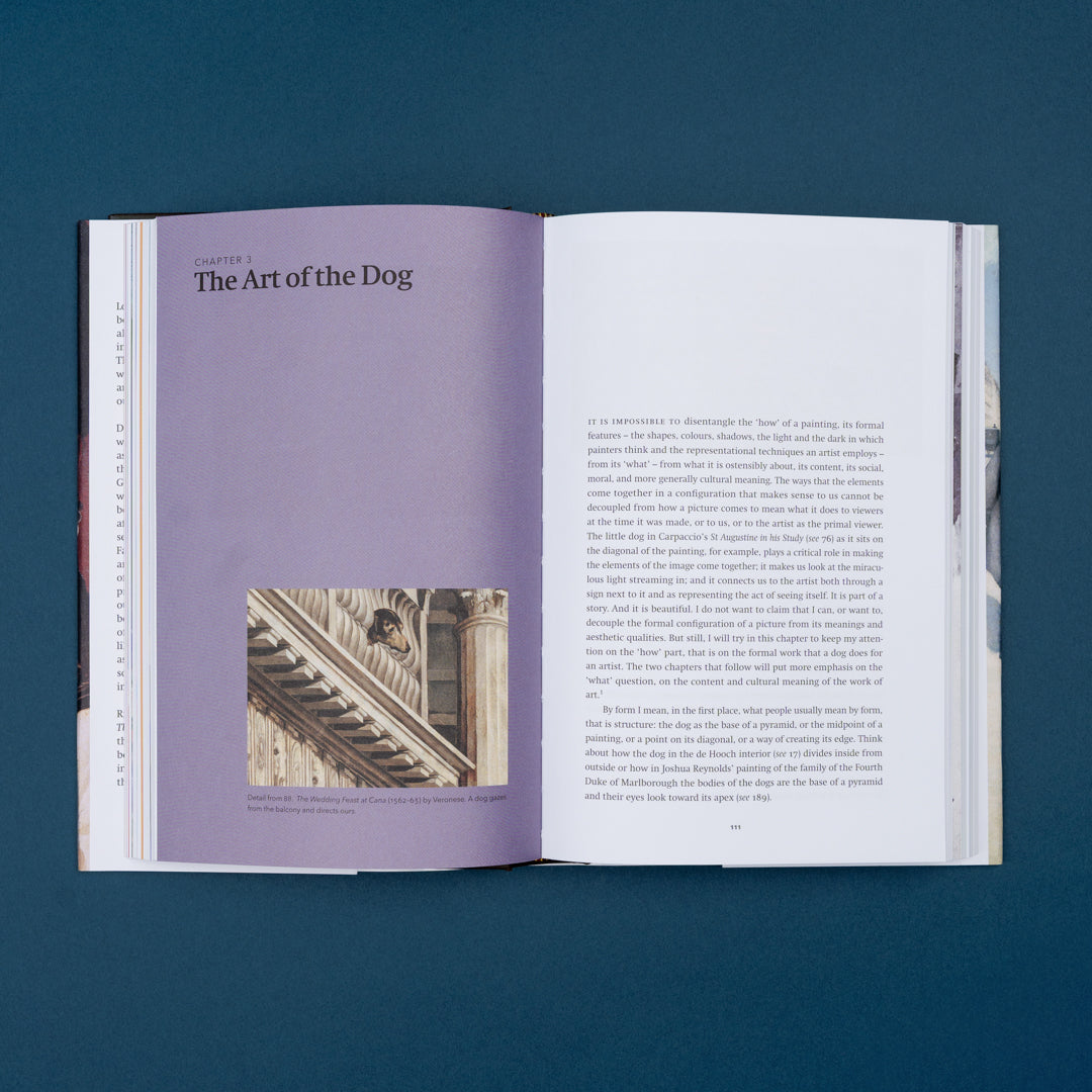 PRH extra: 9780593652794_TheDogsGaze_blue_1.jpg