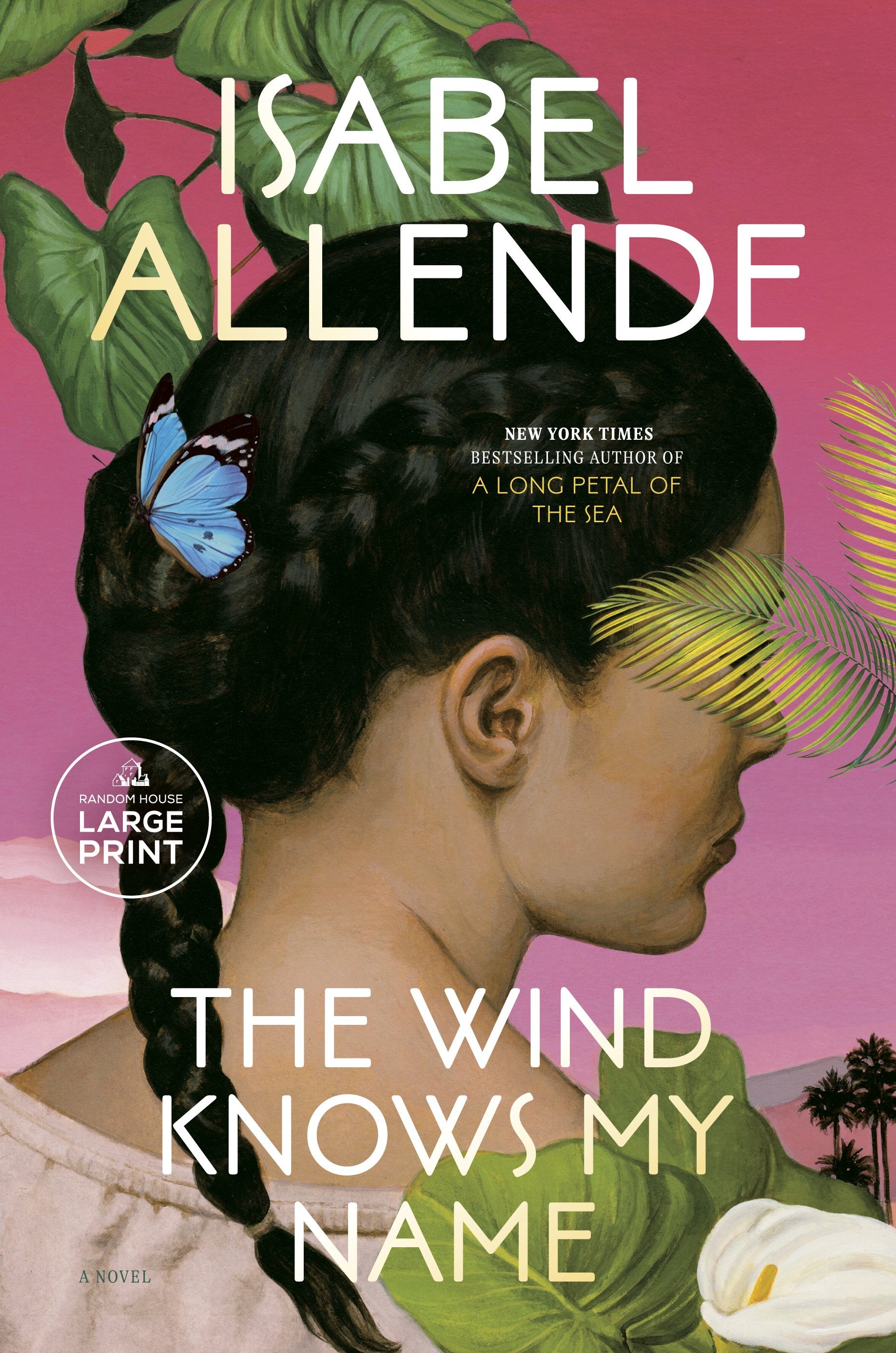 The Wind Knows My Name by Allende, Isabel. ISBN 9780593743720.