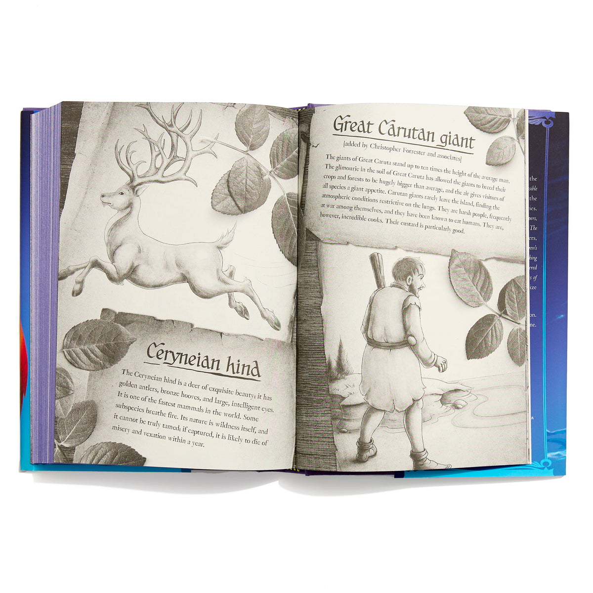 PRH extra: 9780593809945_9780593809945_Product Shot_9.jpg