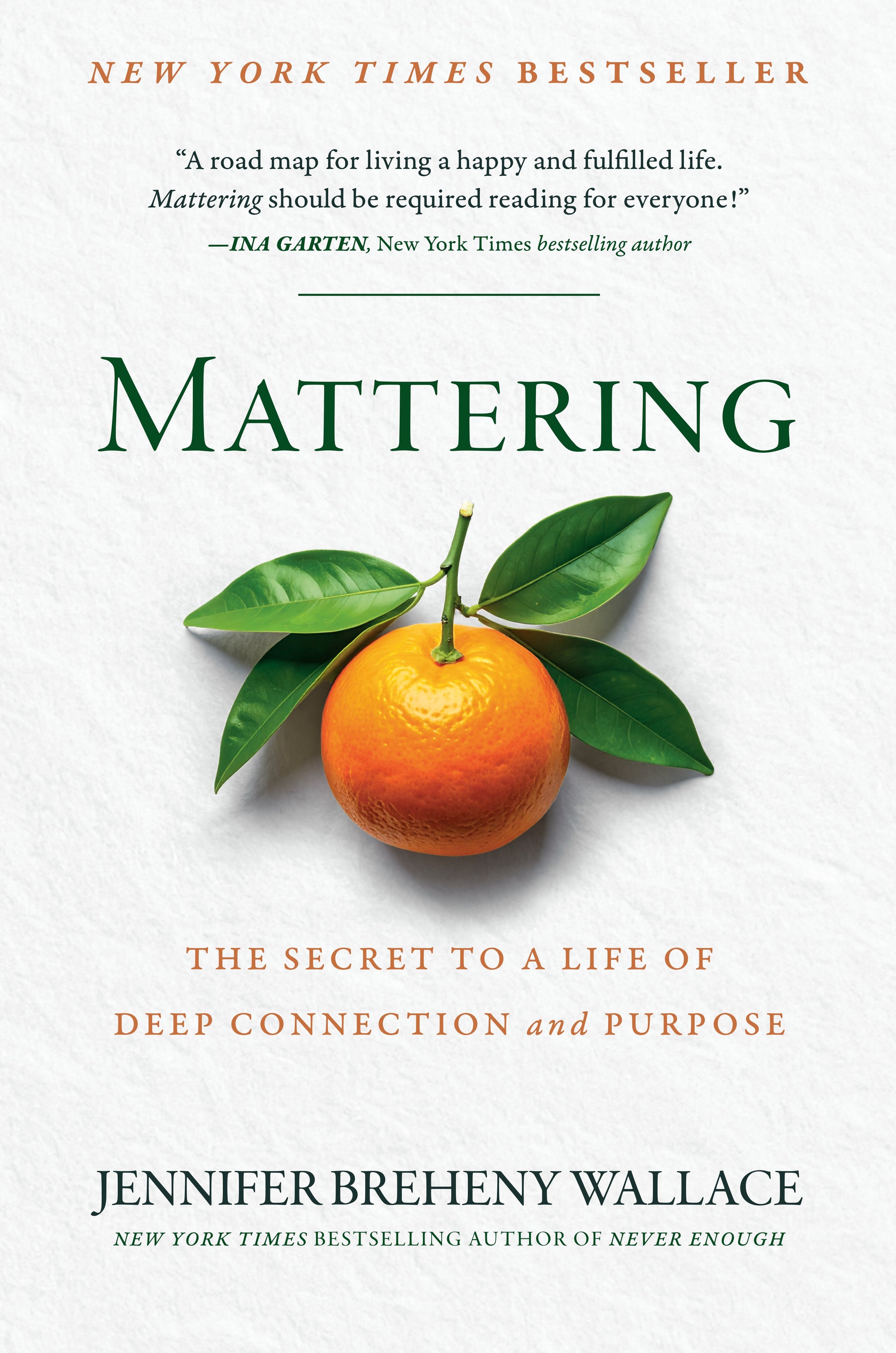 Mattering: The Secret to a Life of Deep Connection and Purpose by Breheny Wallace, Jennifer. ISBN 9780593850596.