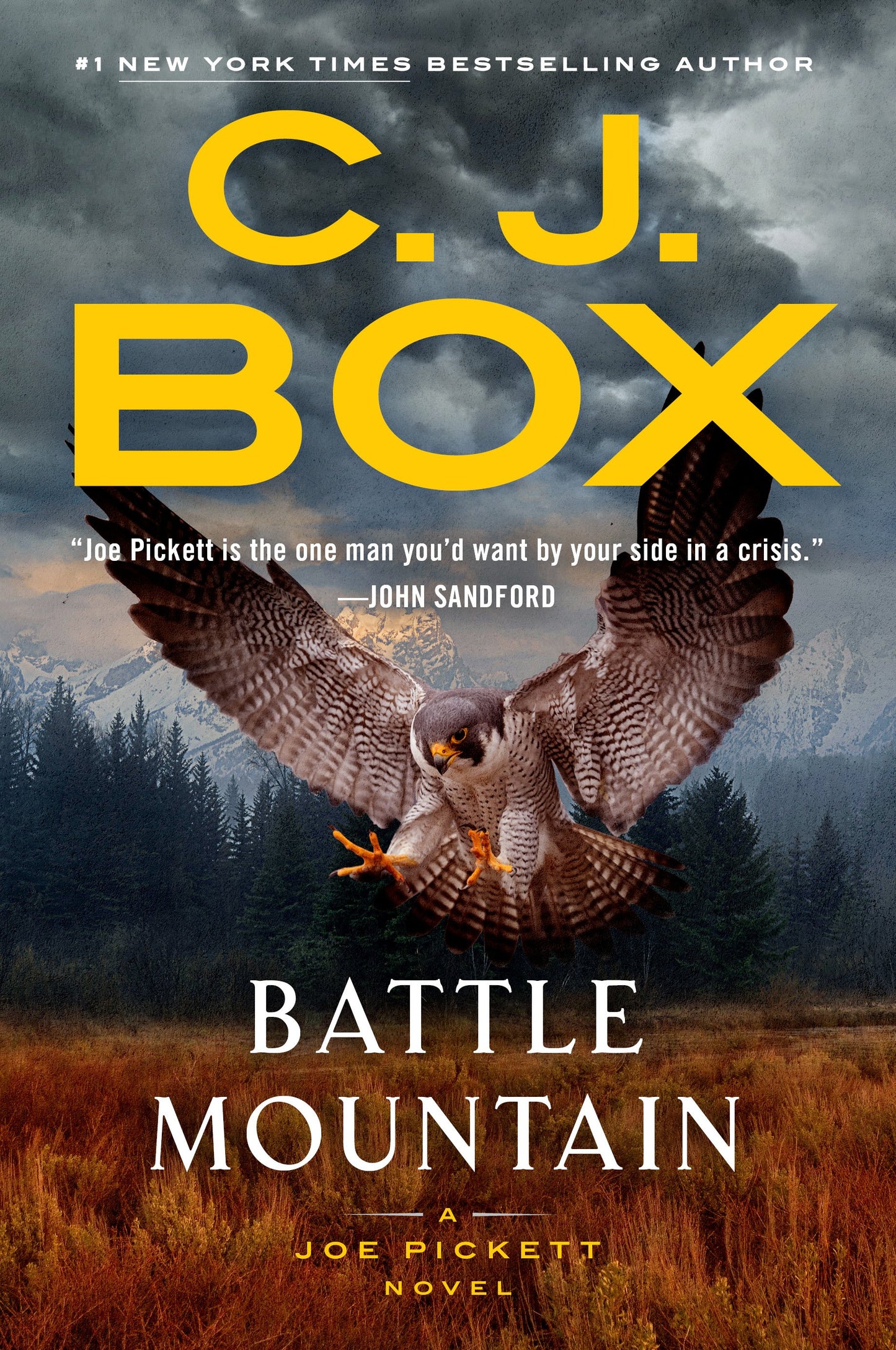 Battle Mountain by Box, C. J.. ISBN 9780593851050.