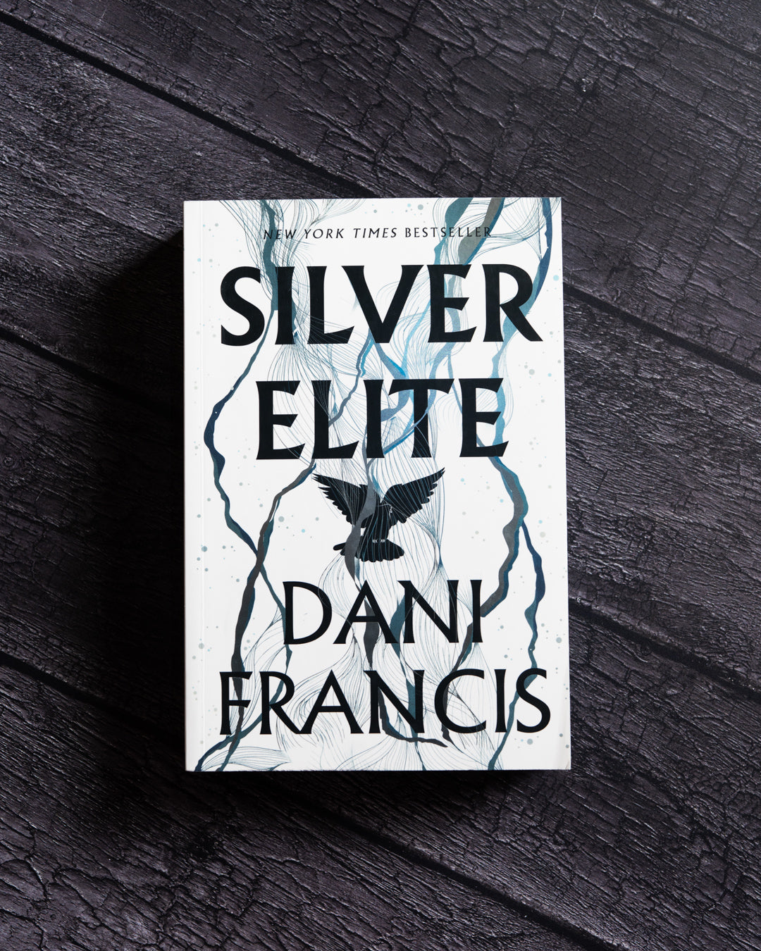 PRH extra: 9780593875483_Francis_SilverElite_1.jpg