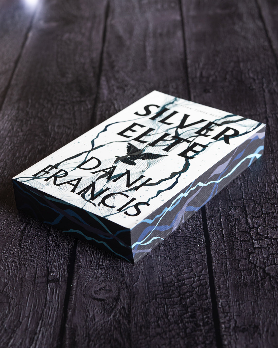 PRH extra: 9780593875483_Francis_SilverElite_2.jpg