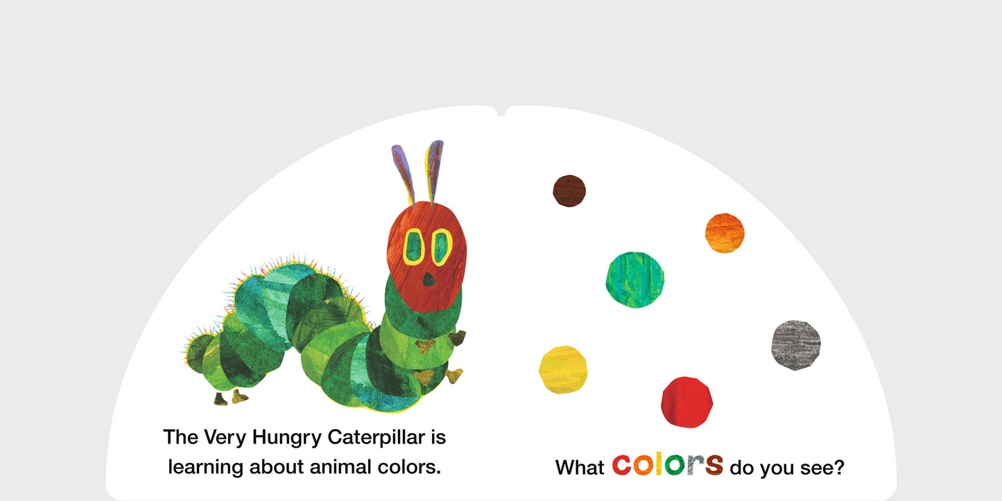 PRH extra: 9780593889091_AnimalColors_Spread_01.jpg