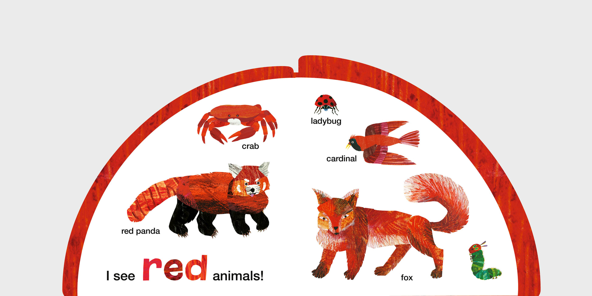 PRH extra: 9780593889091_AnimalColors_Spread_02.jpg