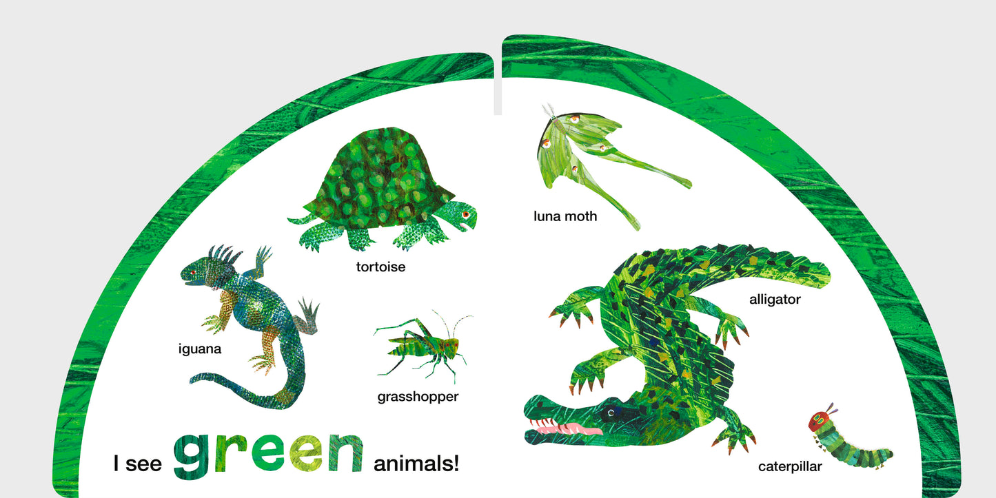 PRH extra: 9780593889091_AnimalColors_Spread_03.jpg