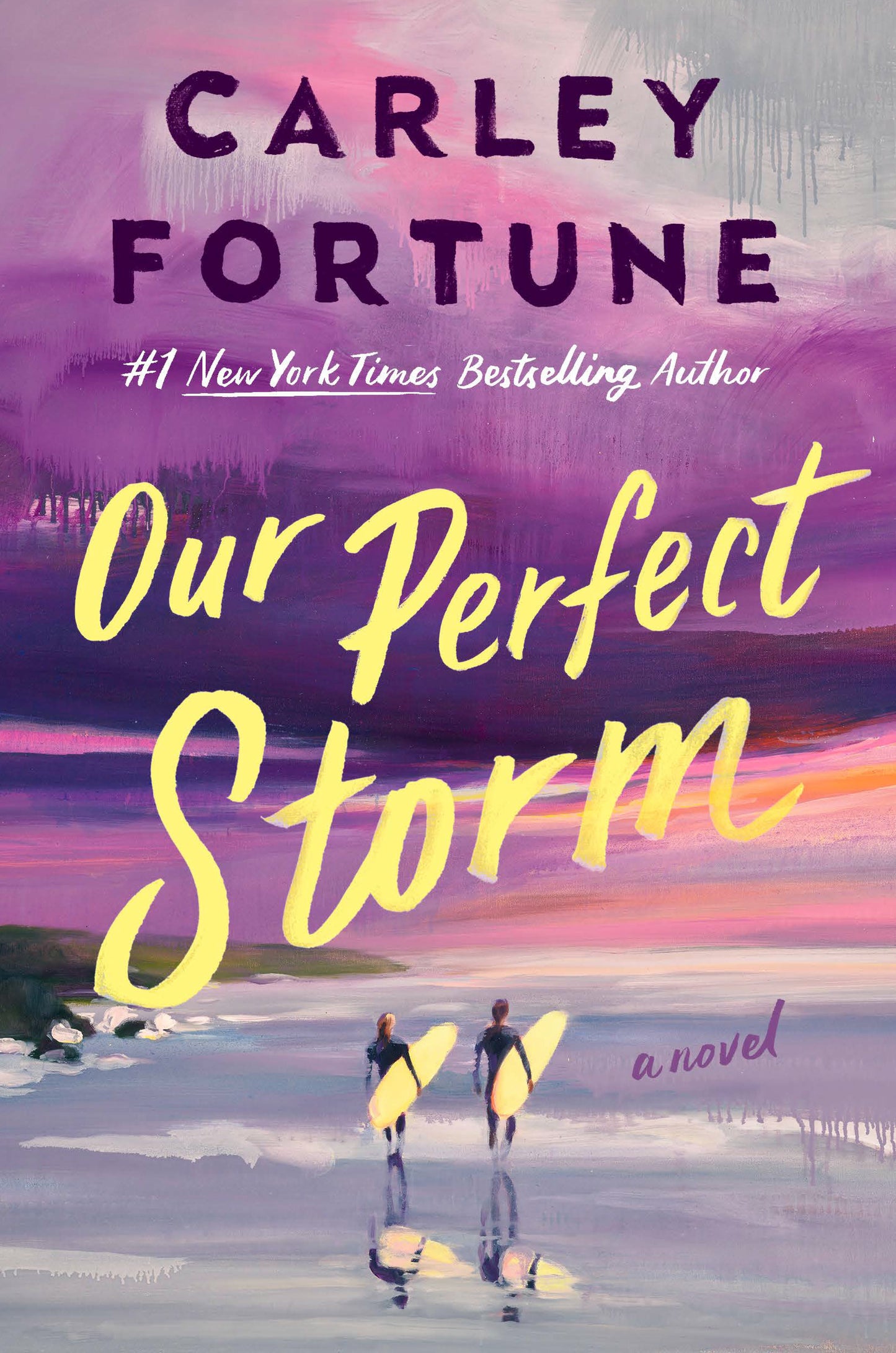 Our Perfect Storm by Fortune, Carley. ISBN 9780593953242.
