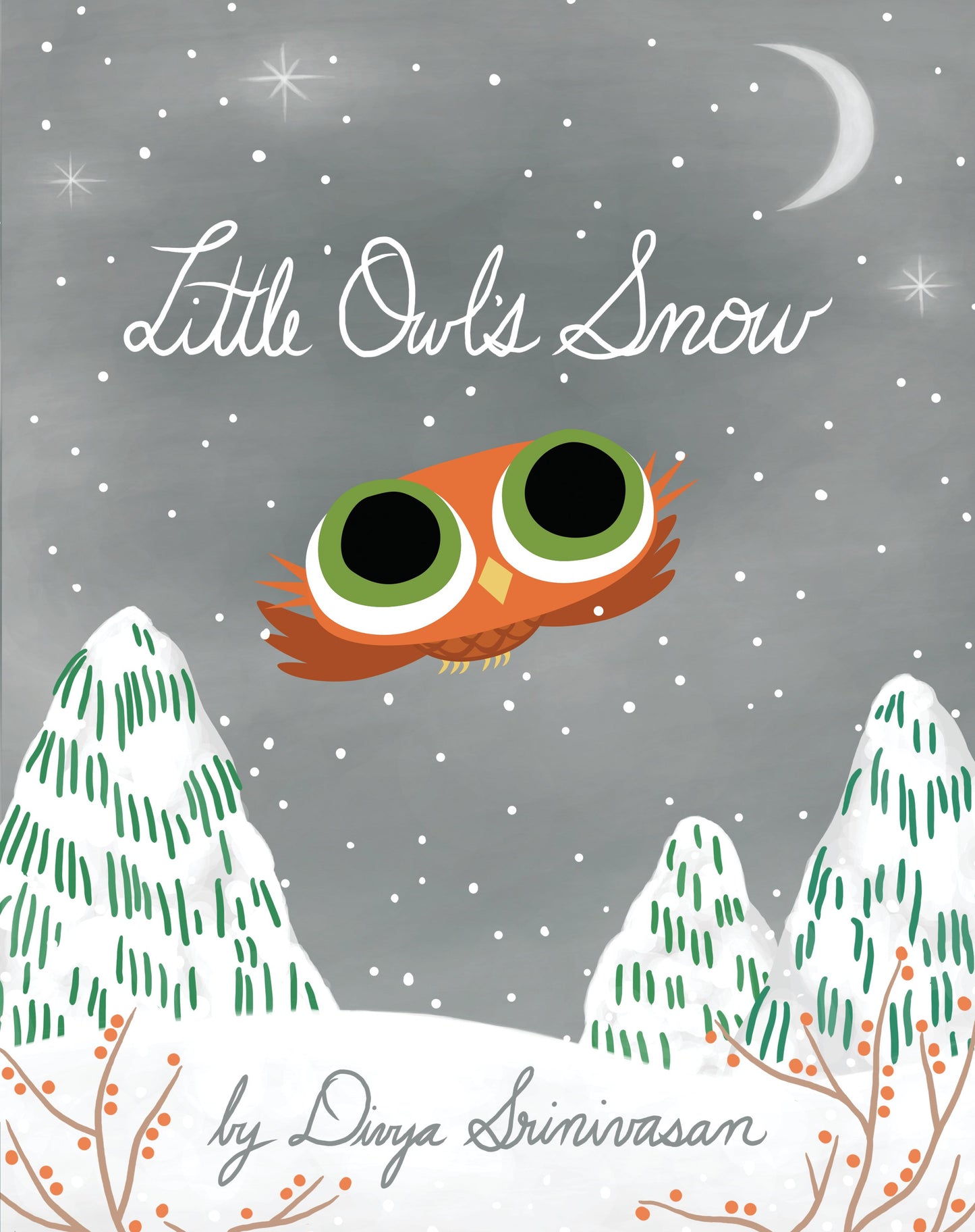Little Owl's Snow by Srinivasan, Divya. ISBN 9780670016518.