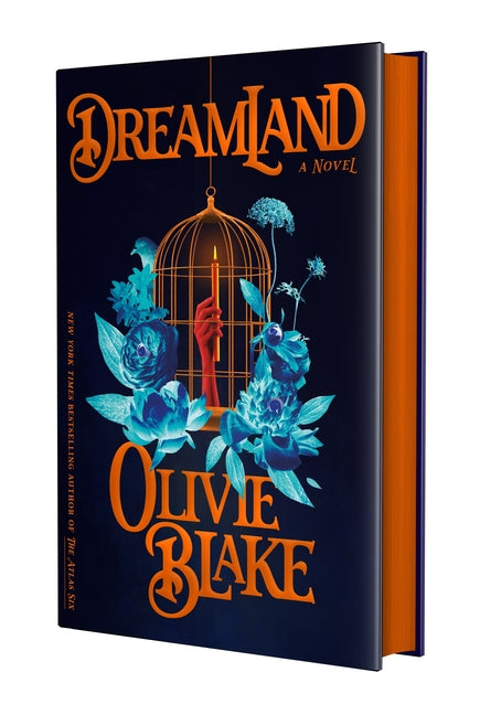Dreamland by Blake, Olivie. ISBN 9781250368935.