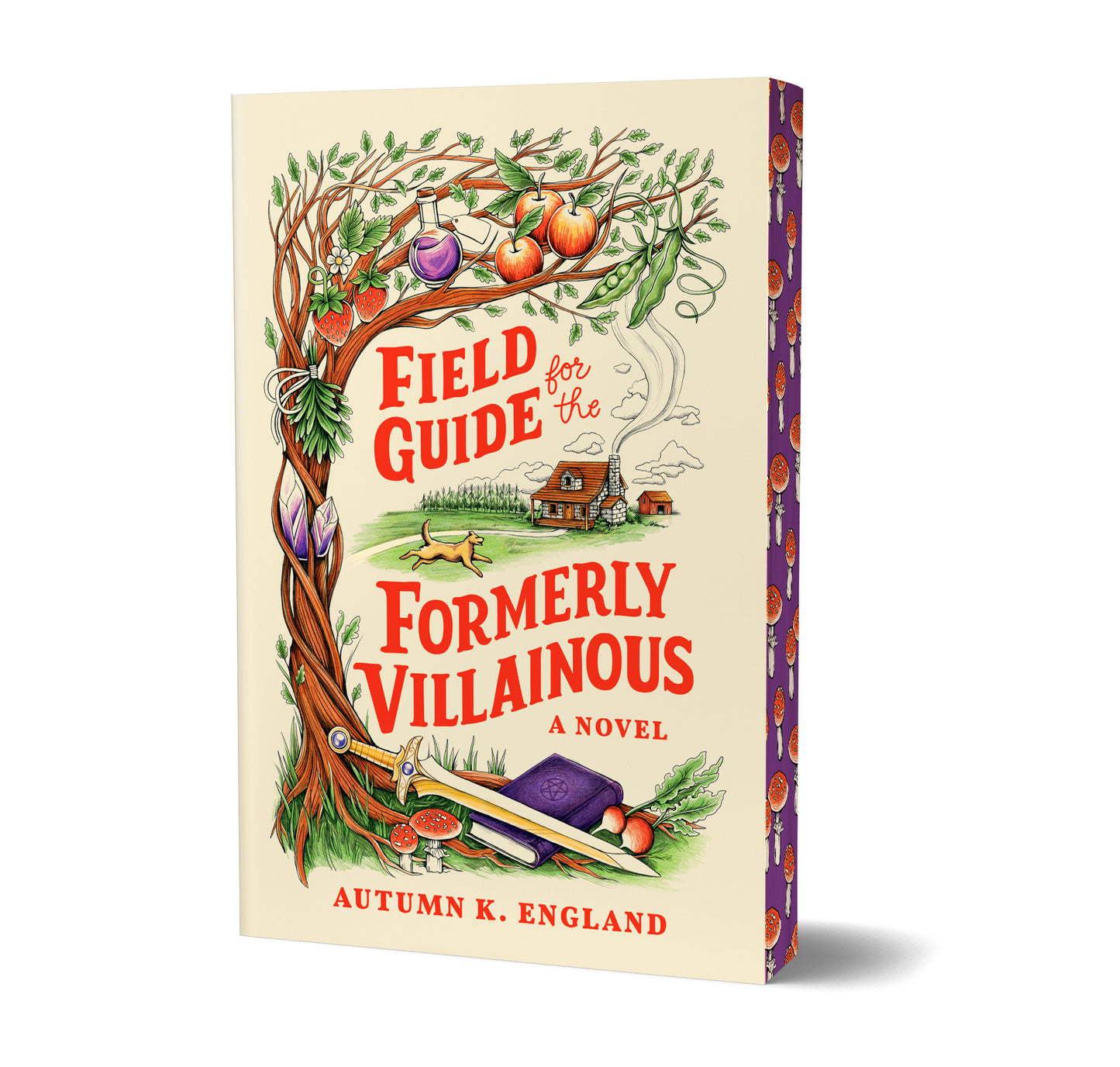 Field Guide for the Formerly Villainous (Deluxe Edition) by England, Autumn K.. ISBN 9781464243301.