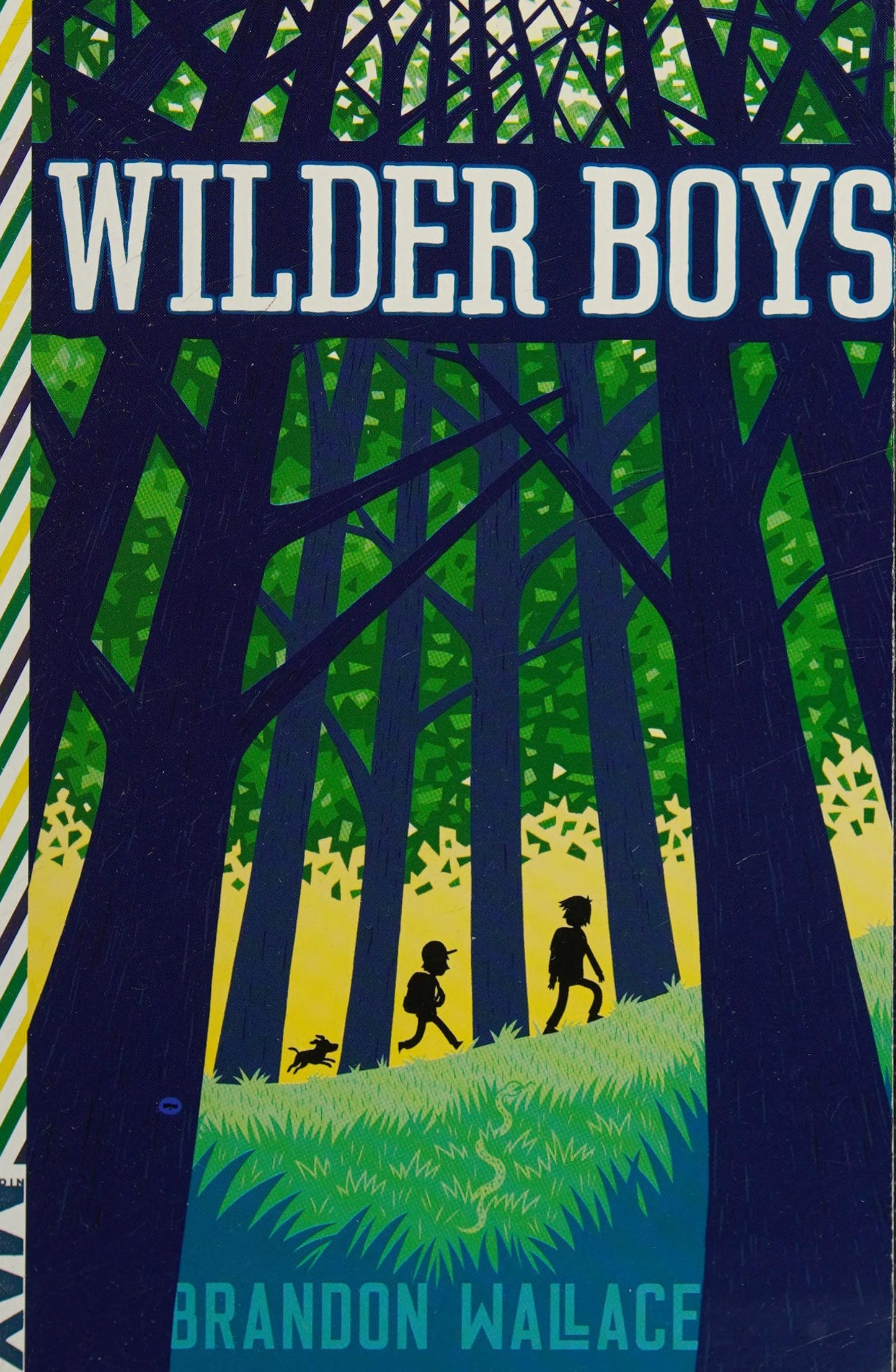Wilder Boys by Wallace, Brandon. ISBN 9781481432641.