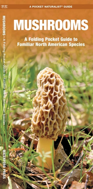 Mushrooms: An Introduction to Familiar North American Species by Kavanagh, James