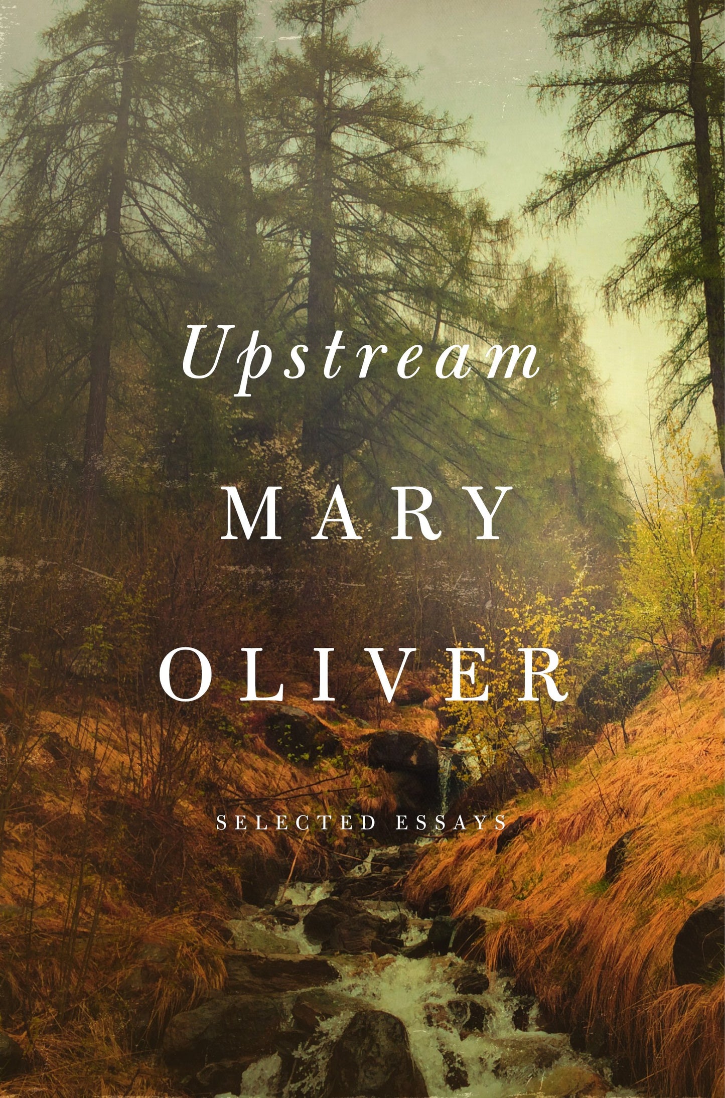Upstream: Selected Essays by Oliver, Mary. ISBN 9781594206702.