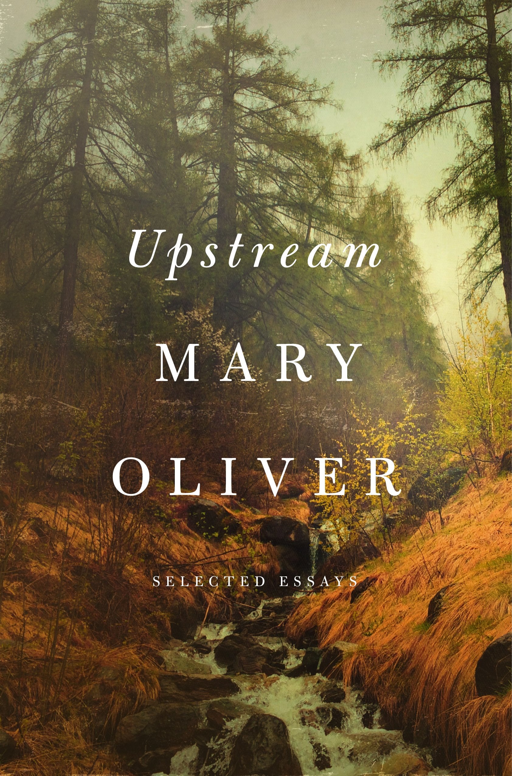 Upstream: Selected Essays by Oliver, Mary. ISBN 9781594206702.