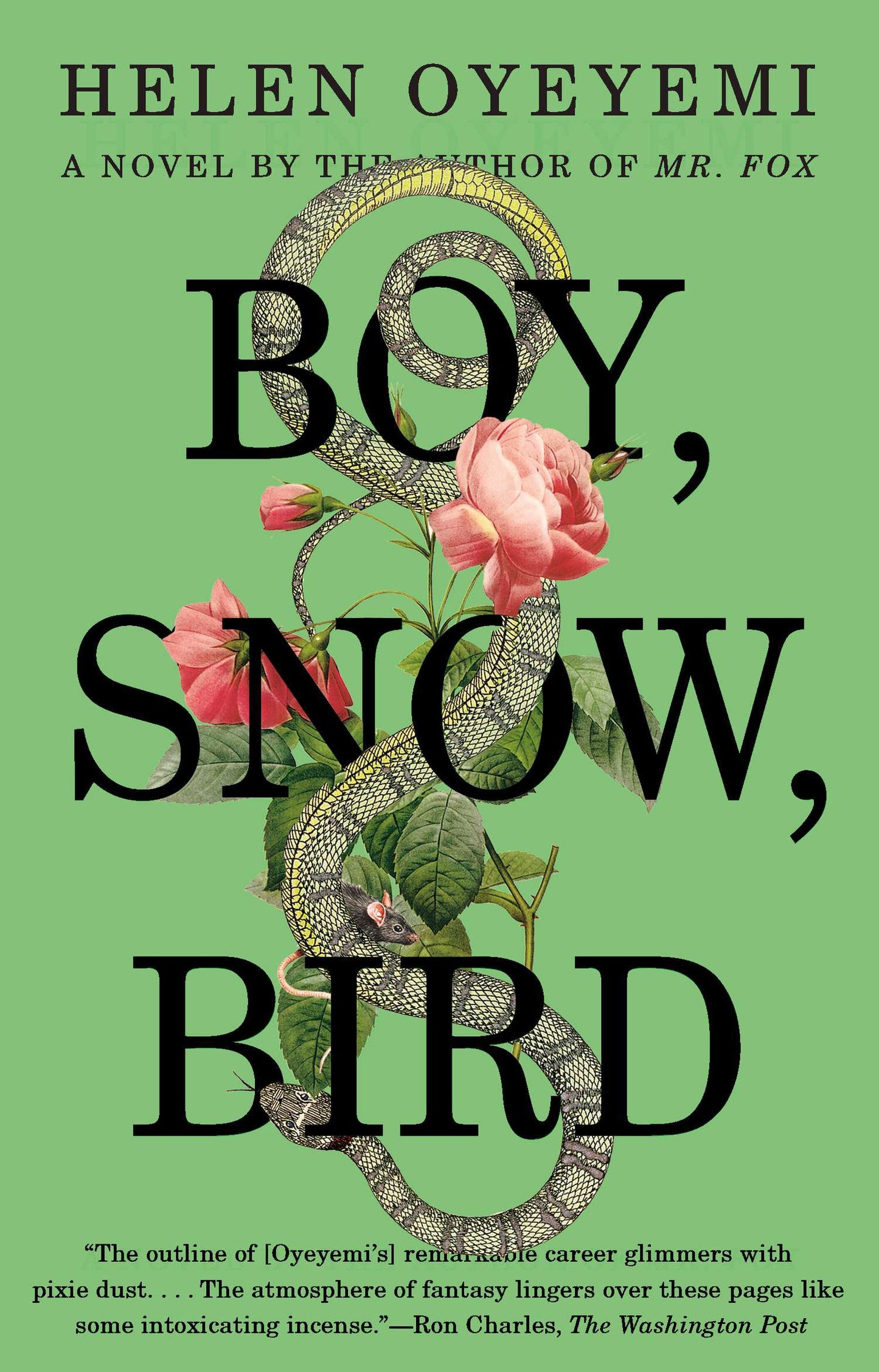 Boy, Snow, Bird by Oyeyemi, Helen. ISBN 9781594633409.