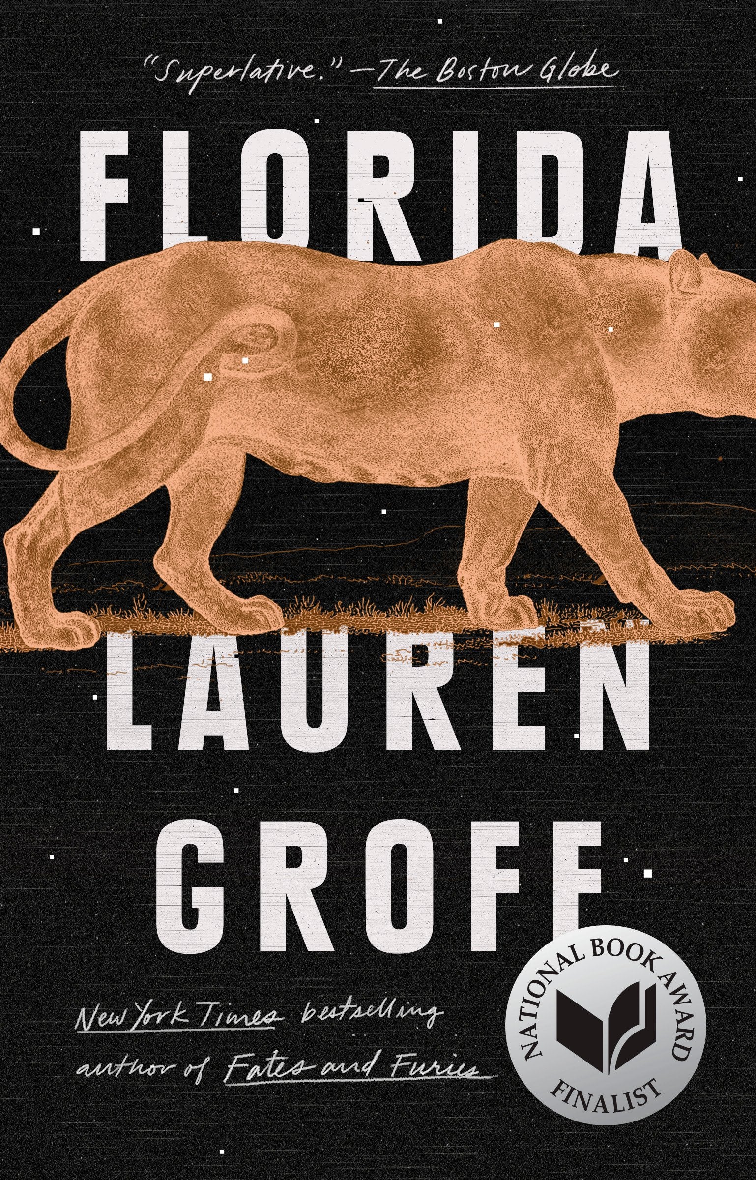 Florida by Groff, Lauren. ISBN 9781594634529.