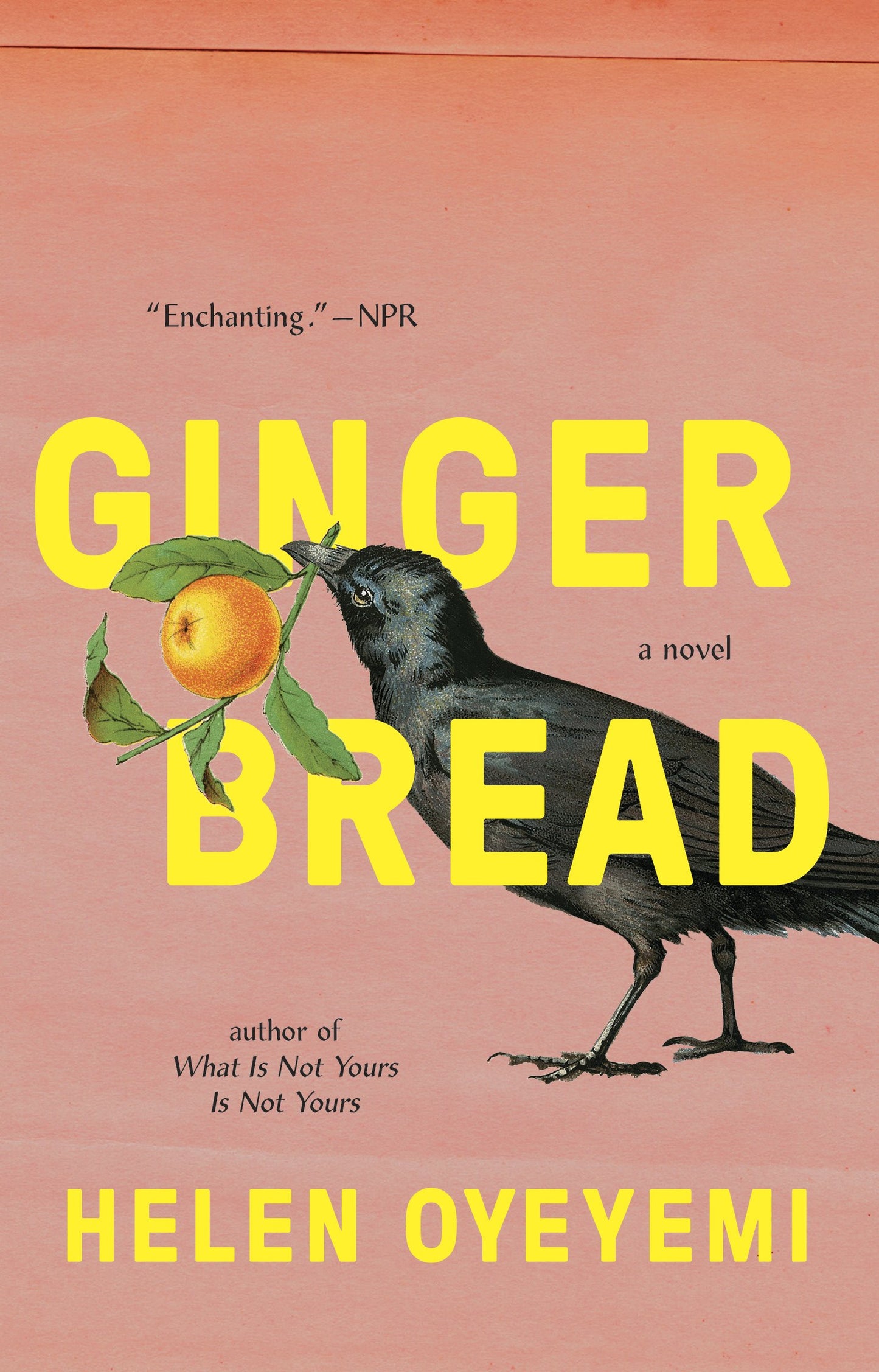 Gingerbread by Oyeyemi, Helen. ISBN 9781594634666.